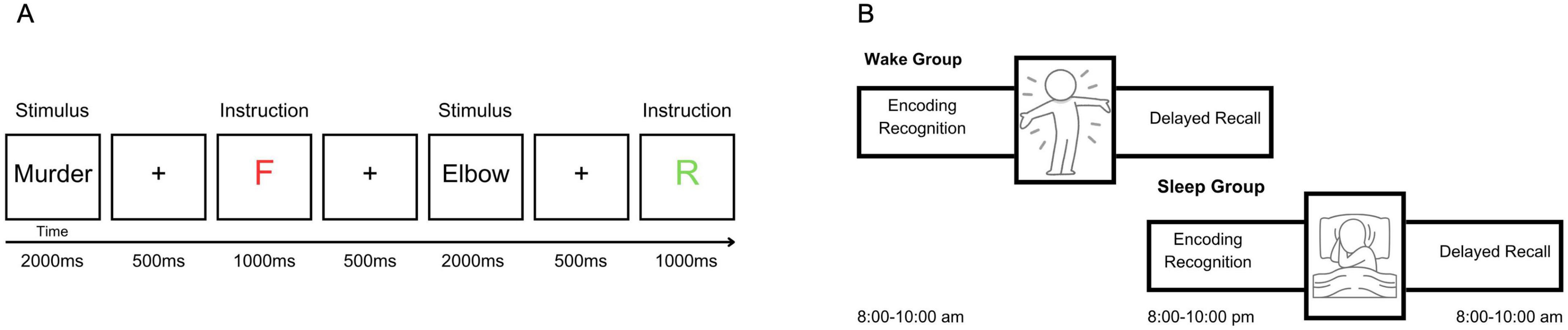 Diagram A shows a sequence for a stimulus-response experiment. It involves two phases: stimulus presentation (words like “Murder” or “Elbow” for 2000 milliseconds) followed by an instruction (”F” or “R” for 1000 milliseconds), separated by 500-millisecond intervals. Diagram B compares two groups: the Wake Group, conducting encoding recognition from 8:00 to 10:00 a.m., and the Sleep Group, doing the same from 8:00 to 10:00 p.m., both followed by delayed recall.