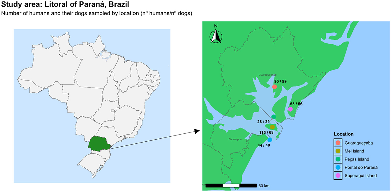 Map showing the study area in the litoral of Paraná, Brazil. The left side highlights Brazil with Paraná marked in green. The right side details specific locations Guaraqueçaba, Mel Island, Peças Island, Pontal do Paraná, and Superagui Island, with numbers indicating the count of humans and dogs sampled. Each location is color-coded on the map, with a scale bar and compass for orientation.
