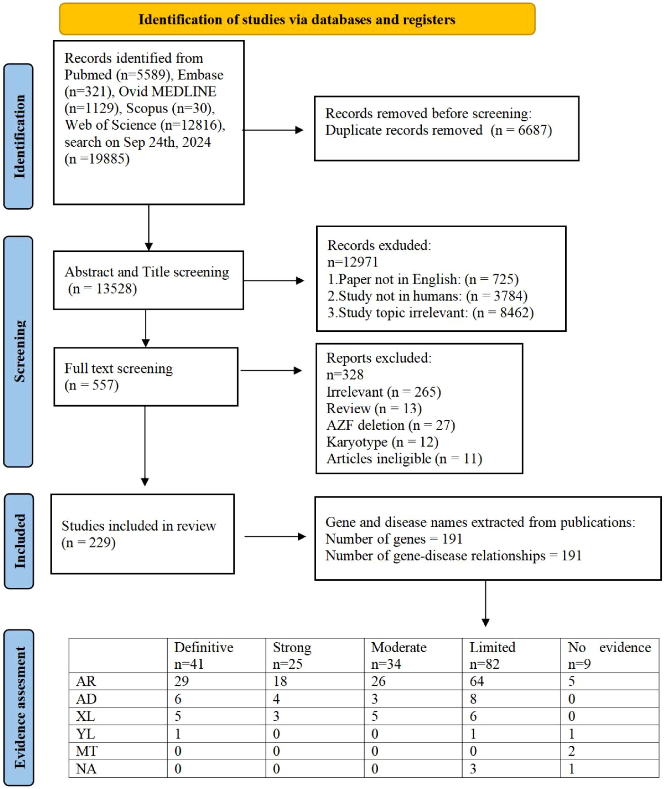 Flowchart depicting the identification process of studies for a review. The process includes identification, screening, and inclusion stages. Initially, 19,885 records were identified. After removing 6,687 duplicates, 13,528 underwent screening. Exclusions were due to language, non-human studies, and irrelevant topics. After full-text screening of 557 studies, 229 were included. Tables show evidence assessment of gene-disease relationships across categories: AR, AD, XL, YL, MT, and NA, with varying levels from definitive to no evidence.