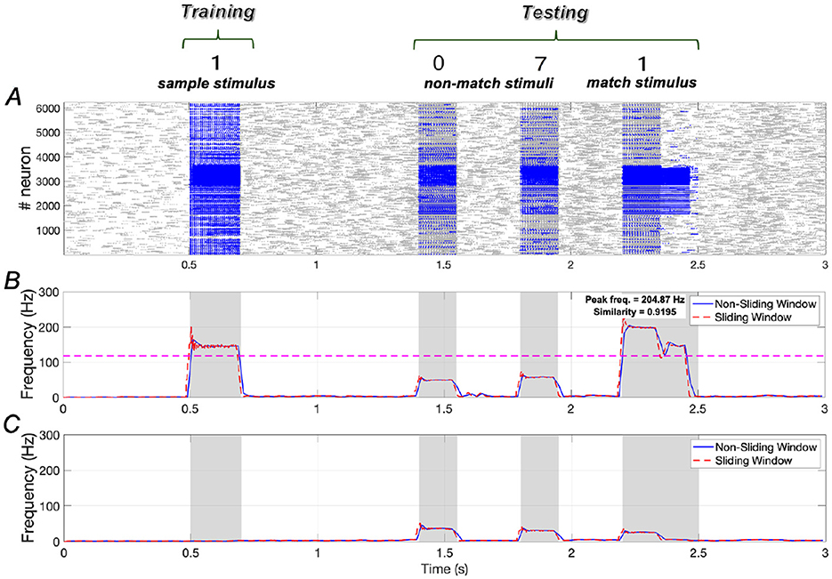 Graph showing neural responses during a training and testing sequence. Panel A displays a raster plot of neuronal activity, with blue indicating firing rates during sample, non-match, and match stimuli phases. Panel B illustrates frequency analysis with peak frequencies and similarity indices using non-sliding and sliding window methods. Panel C shows frequency analysis for additional context. Time is represented on the x-axis, and frequency in Hertz on the y-axis. Periods of stimulus presentation are shaded.