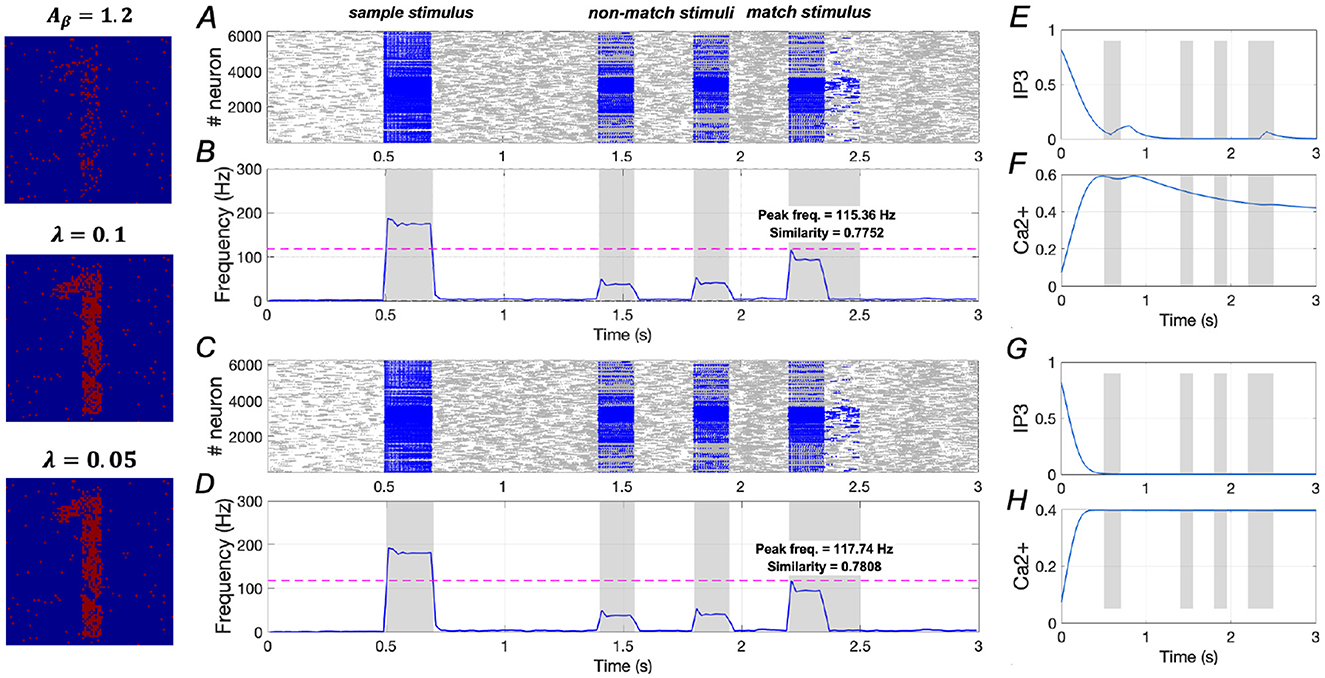 Neuroscience data visualization featuring multiple panels. The left column shows three heat maps with different parameters, labeled with Aβ = 1.2, λ = 0.1, and λ = 0.05. Panels A and C display neuron activity heat maps with time on the x-axis and neuron number on the y-axis for sample, non-match, and match stimuli. Panels B and D show frequency graphs over time, with noted peak frequencies and similarity scores. Panels E and G depict IP3 levels over time. Panels F and H show Ca2+ levels over time. Gray shaded areas indicate stimulus periods.