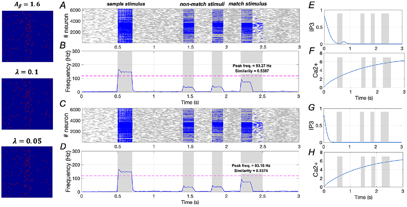 Graphs and plots show neural and chemical activity with varying parameters. Panels A and C display raster plots for neuron activity with sample, non-match, and match stimuli in different conditions. Panels B and D show frequency over time with peak frequency and similarity calculations. Panels E and G illustrate decreasing IP3 levels, while panels F and H depict increasing Ca2+ levels over three seconds. The left column shows visual patterns under different lambda conditions.