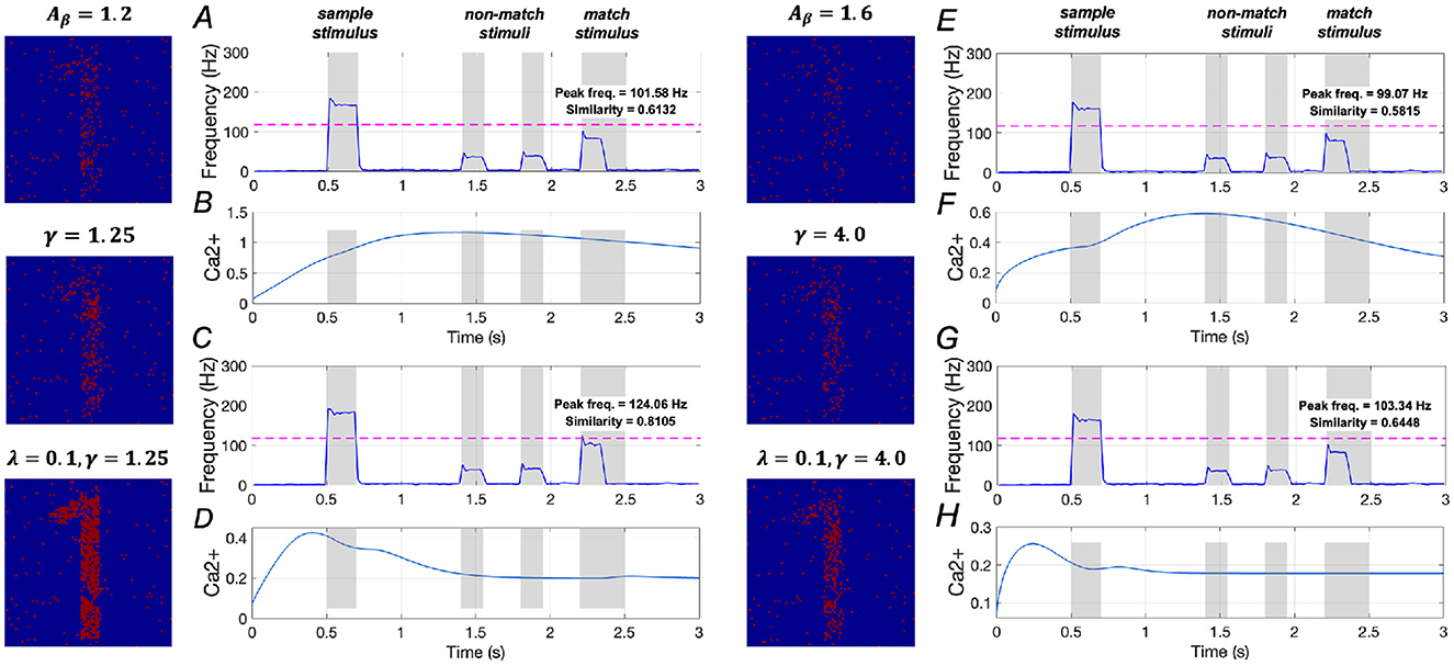 Graphs and heatmaps illustrate neuronal activity under different stimulus conditions. Panels A, C, E, and G show frequency in Hertz over time, with peak frequency and similarity values noted. Panels B, D, F, and H display Calcium ion (Ca2+) levels. The stimuli are labeled as sample, non-match, and match. Heatmaps on the left and right demonstrate different parameter settings with variable Aß, γ, and λ values.