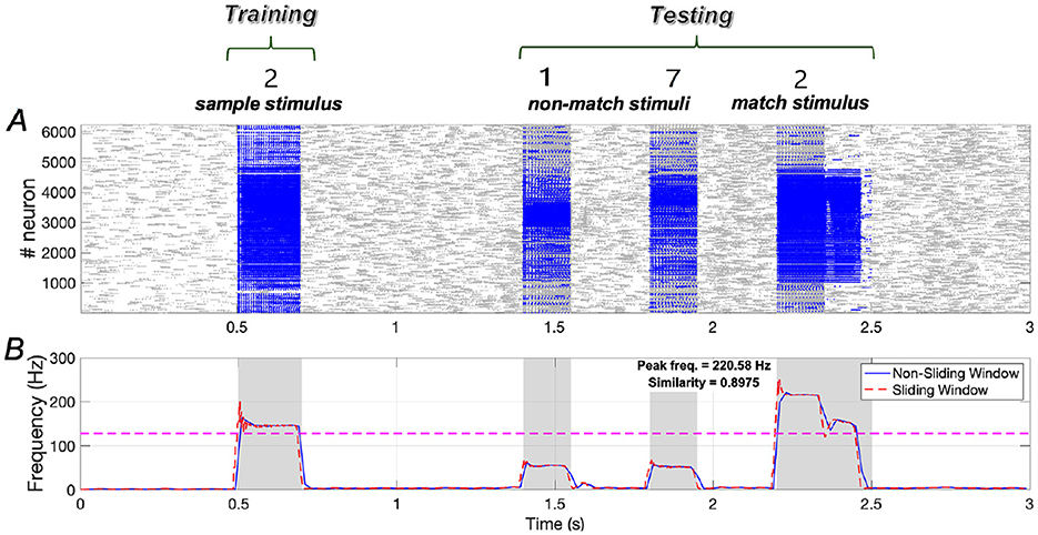 Graphical representation of neural activity showing two sections: A and B. Section A displays neural spikes over time, with blue clusters indicating activity during training and testing stimuli (sample, non-match, match). Section B illustrates frequency over time, with a peak frequency highlighted, and compares sliding vs. non-sliding window analyses.