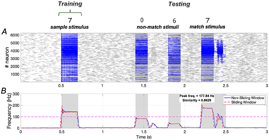 Panel A shows neural activity with different stimuli labeled for training and testing phases, where blue represents active neuron firing. Panel B displays frequency vs. time graph with a peak frequency at 177.84 Hz and a similarity score of 0.8629, comparing non-sliding and sliding window methods.