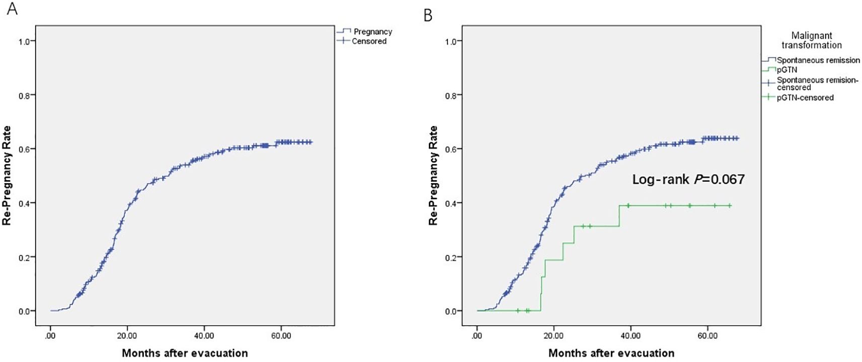 Two Kaplan-Meier curves show re-pregnancy rates over time. Graph A depicts the cumulative pregnancy rate, while Graph B contrasts spontaneous remission and pGTN groups, indicating a log-rank p-value of 0.067. The x-axis represents months after evacuation, and the y-axis shows re-pregnancy rates.