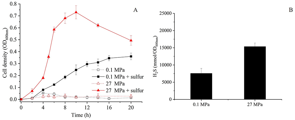 Chart A is a line graph showing cell density over 20 hours under four conditions: 0.1 MPa, 0.1 MPa with sulfur, 27 MPa, and 27 MPa with sulfur. The 27 MPa with sulfur condition reaches the highest cell density. Chart B is a bar graph comparing H2S production of cultures at 0.1 MPa and 27 MPa with the presence of sulfur, with higher production at 27 MPa.
