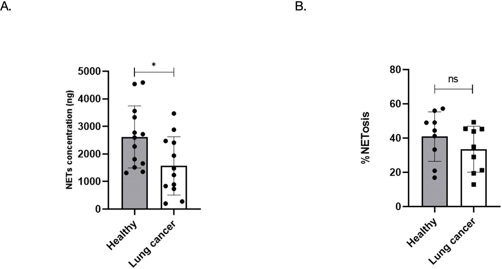 Bar graphs showing two comparisons. A: NETs concentration in healthy vs. lung cancer, with higher levels in healthy, marked significant by an asterisk. B: Percentage of NETosis, showing no significant difference between healthy and lung cancer, marked as “ns”.