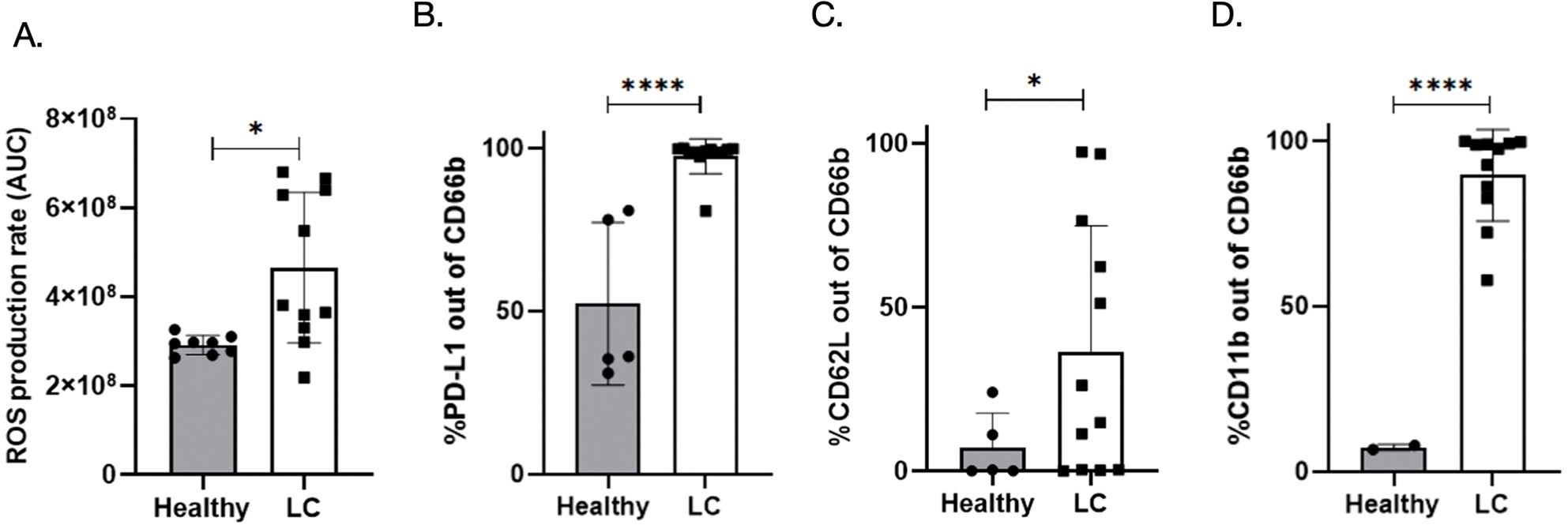 Bar graphs labeled A to D compare healthy individuals with those with LC. Graph A shows ROS production rate (AUC) with LC having higher values than healthy. Graph B depicts percentage of PD-L1 out of CD66b, significantly higher in LC. Graph C shows percentage of CD62L, also elevated in LC. Graph D illustrates percentage of CD11b, much higher in LC. Statistical significance is marked with asterisks, indicating notable differences.