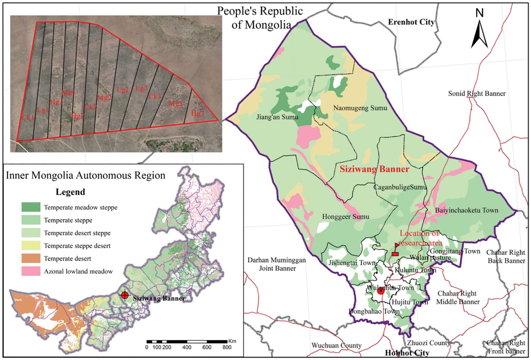 Map illustrating Inner Mongolia's Siziwang Banner with various geographical features. A close-up marks different areas, labeled with codes (e.g., Lg1, Hg1). Another inset shows Inner Mongolia with a legend depicting temperate zones, such as meadow steppe and desert. Major towns and boundaries are marked, highlighting the research area's location. An arrow indicates north.