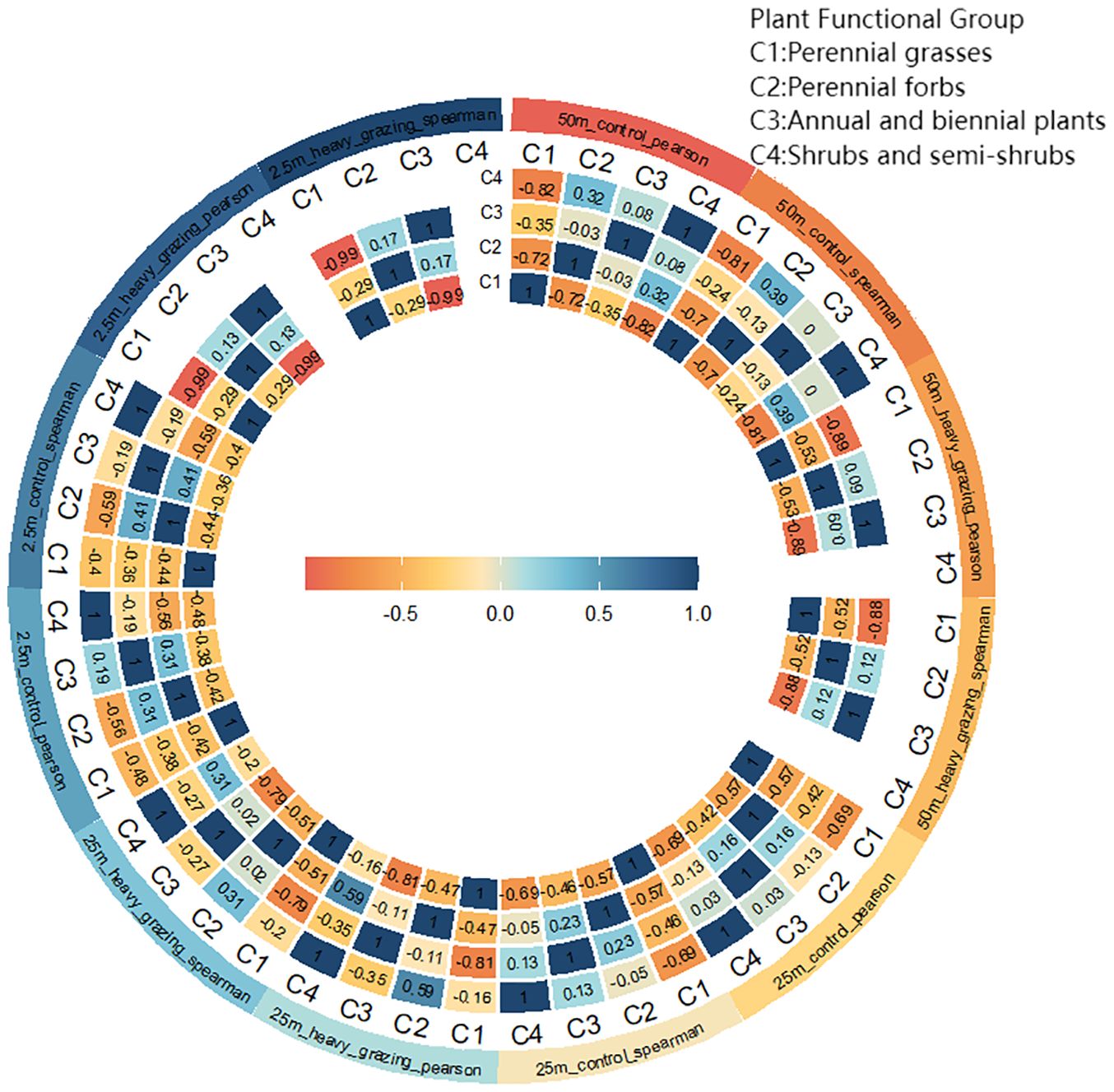 Circular heatmap depicting correlations in plant functional groups across different grazing conditions. The groups are C1: perennial grasses, C2: perennial forbs, C3: annual and biennial plants, C4: shrubs and semi-shrubs. The color scale ranges from blue to red, indicating correlation values from negative to positive. Labels include various Pearson and Spearman measures at different distances, arranged around the circular format.