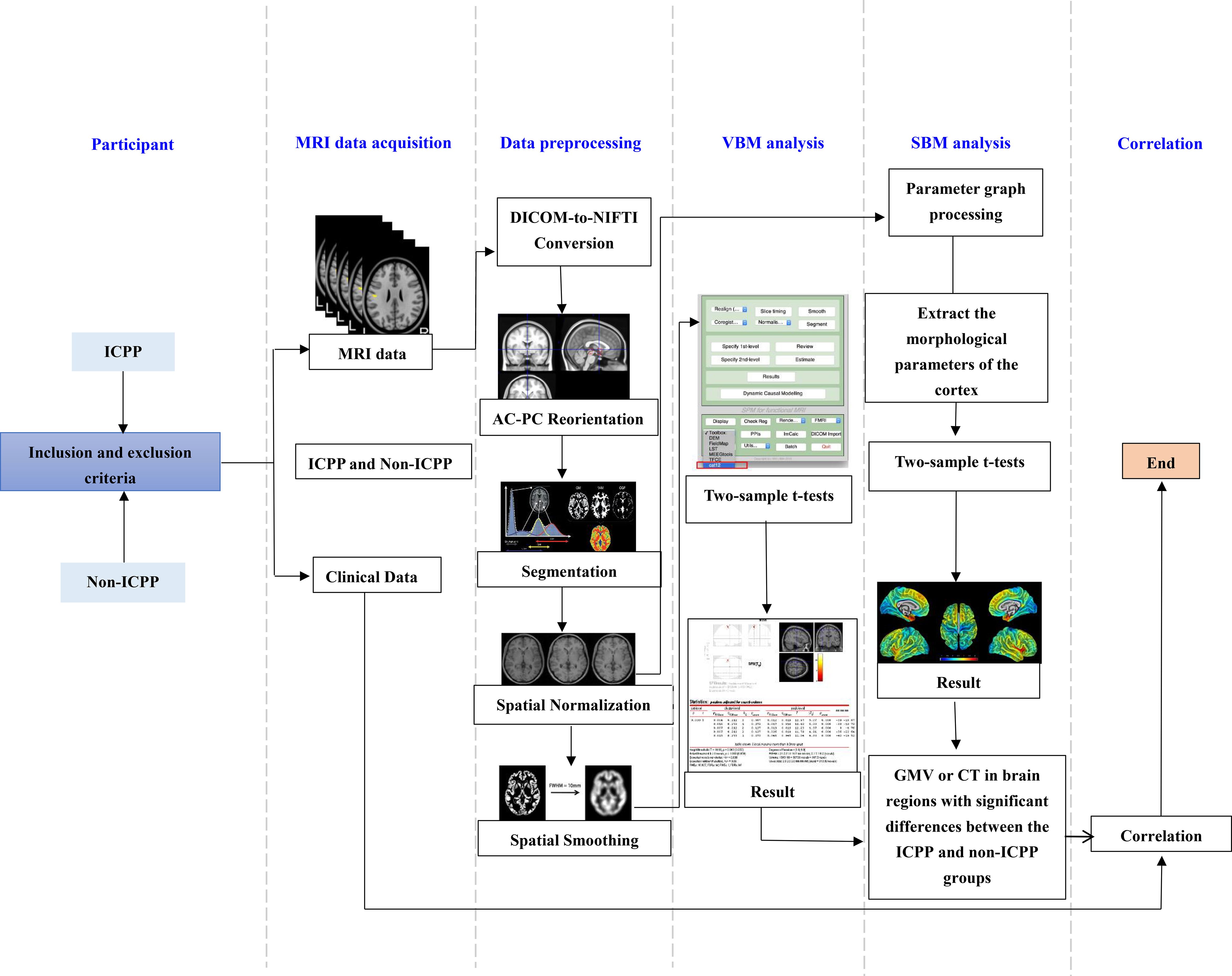 Flowchart detailing the process of data analysis for a study comparing ICPP and non-ICPP participants. It includes participant selection, MRI data acquisition, data preprocessing, VBM and SBM analysis, and correlation of results. MRI data undergoes DICOM-to-NIFTI conversion, AC-PC reorientation, segmentation, spatial normalization, and smoothing. VBM analysis involves two-sample t-tests, while SBM analysis processes parameter graphs and extracts cortical parameters, followed by two-sample t-tests. Results highlight GMV or CT differences between groups, culminating in correlation.