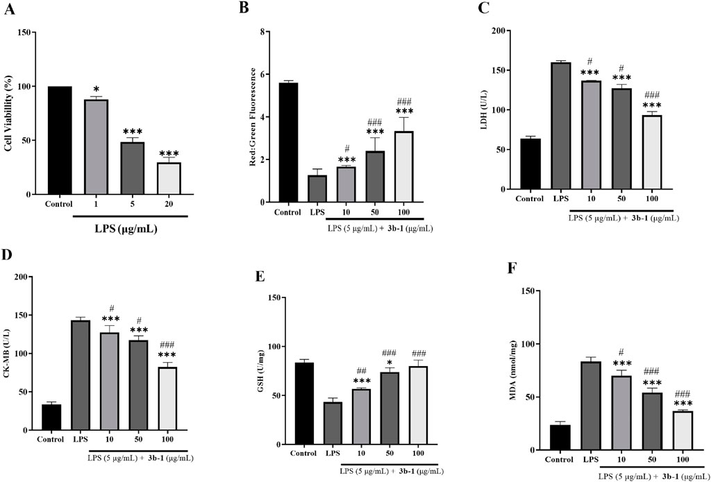 Graphs illustrating the effects of LPS and 3b-1 on various cellular parameters in different concentrations. (A) Cell viability decreases as LPS concentration increases. (B) Red:Green fluorescence ratio shows increasing values with higher 3b-1 concentrations in the presence of LPS. (C) LDH levels increase with LPS but decrease with higher 3b-1 concentrations. (D) CK-MB enzyme activity shows a similar trend to LDH. (E) GSH levels increase with higher 3b-1 concentrations. (F) MDA levels are lower at higher concentrations of 3b-1. Statistical significance marked with asterisks and hashes.
