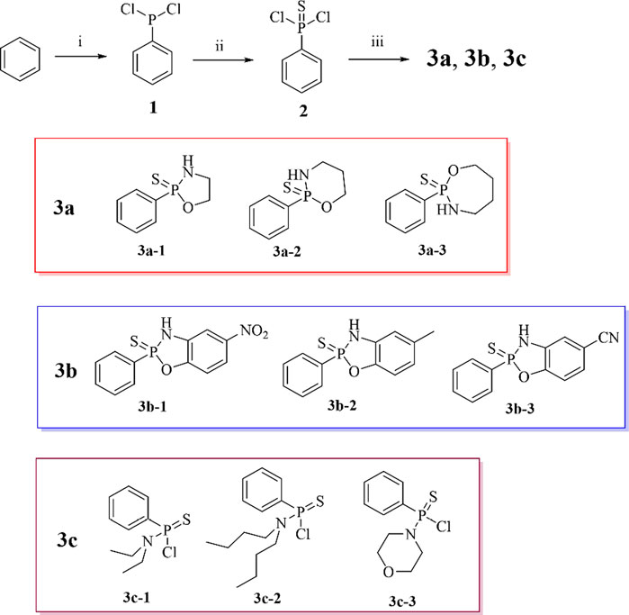 Chemical synthesis diagram showing the progression from benzene to several phosphorus-containing compounds. Step i: Chlorination leads to compound 1 (dichlorobenzene). Step ii: Further reaction gives compound 2 (chlorophosphorothioate).Step iii: Formation of compounds 3a, 3b, and 3c:- 3a includes structures 3a-1, 3a-2, 3a-3.- 3b includes structures 3b-1, 3b-2, 3b-3.- 3c includes structures 3c-1, 3c-2, 3c-3.Each sub-compound features different substituent groups on the phenyl rings.