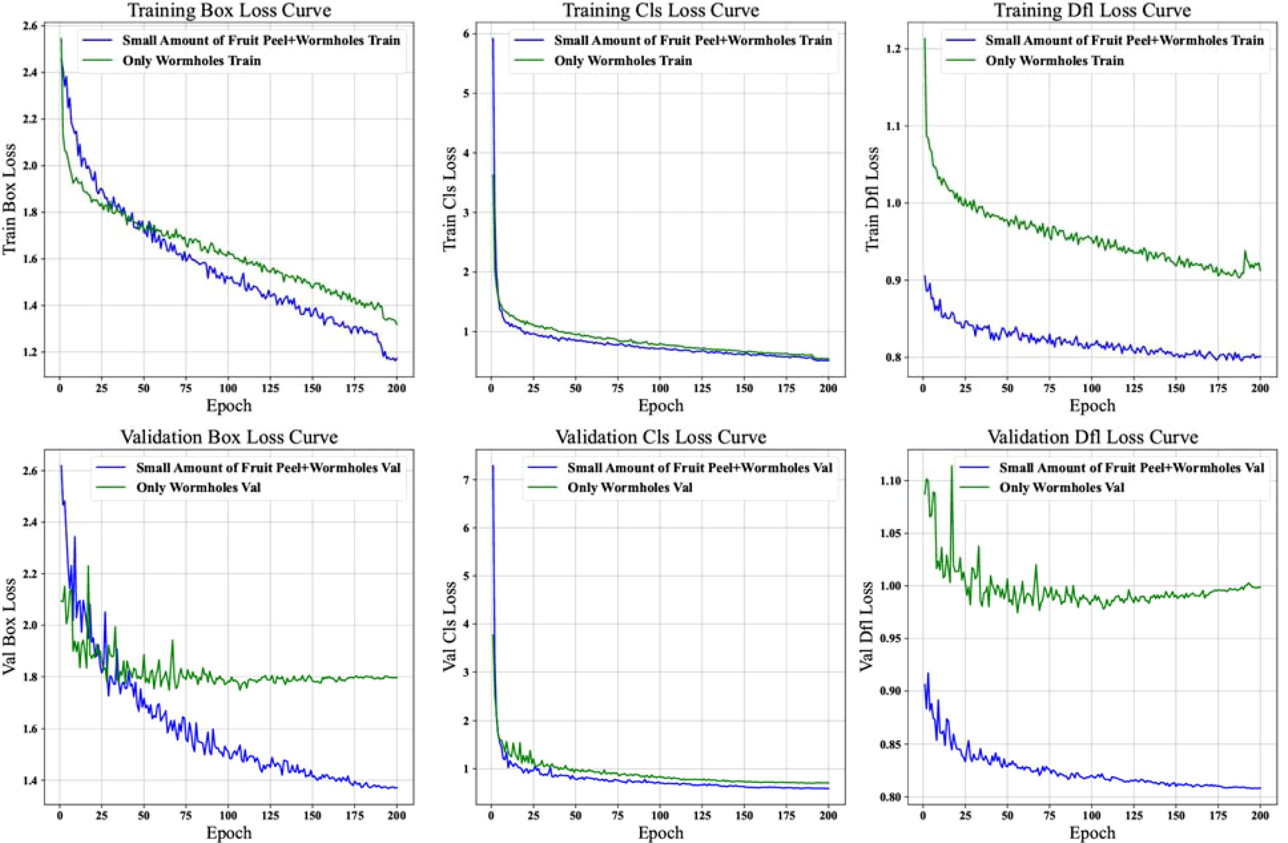 Six loss curves show training and validation loss for a model. Top row: Training Box Loss, Cls Loss, and Dfl Loss curves. Bottom row: Validation Box Loss, Cls Loss, and Dfl Loss curves. Two datasets, “Small Amount of Fruit Peel+Wormholes” and “Only Wormholes”, are color-coded in blue and green, respectively. Curves indicate loss decreases over 200 epochs.