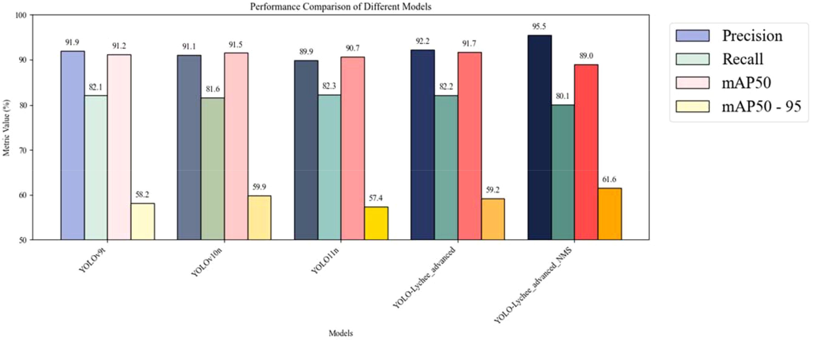 Bar chart comparing the performance of five models: YOLOv9t, YOLOv10m, YOLO11n, YOLO-Lychee_advanced, and YOLO-Lychee_advanced_NMS. Metrics shown are Precision, Recall, mAP50, and mAP50-95. Precision scores range from 89.9% to 95.5%, Recall from 81.6% to 82.3%, mAP50 from 89.0% to 91.7%, and mAP50-95 from 57.4% to 61.6%.