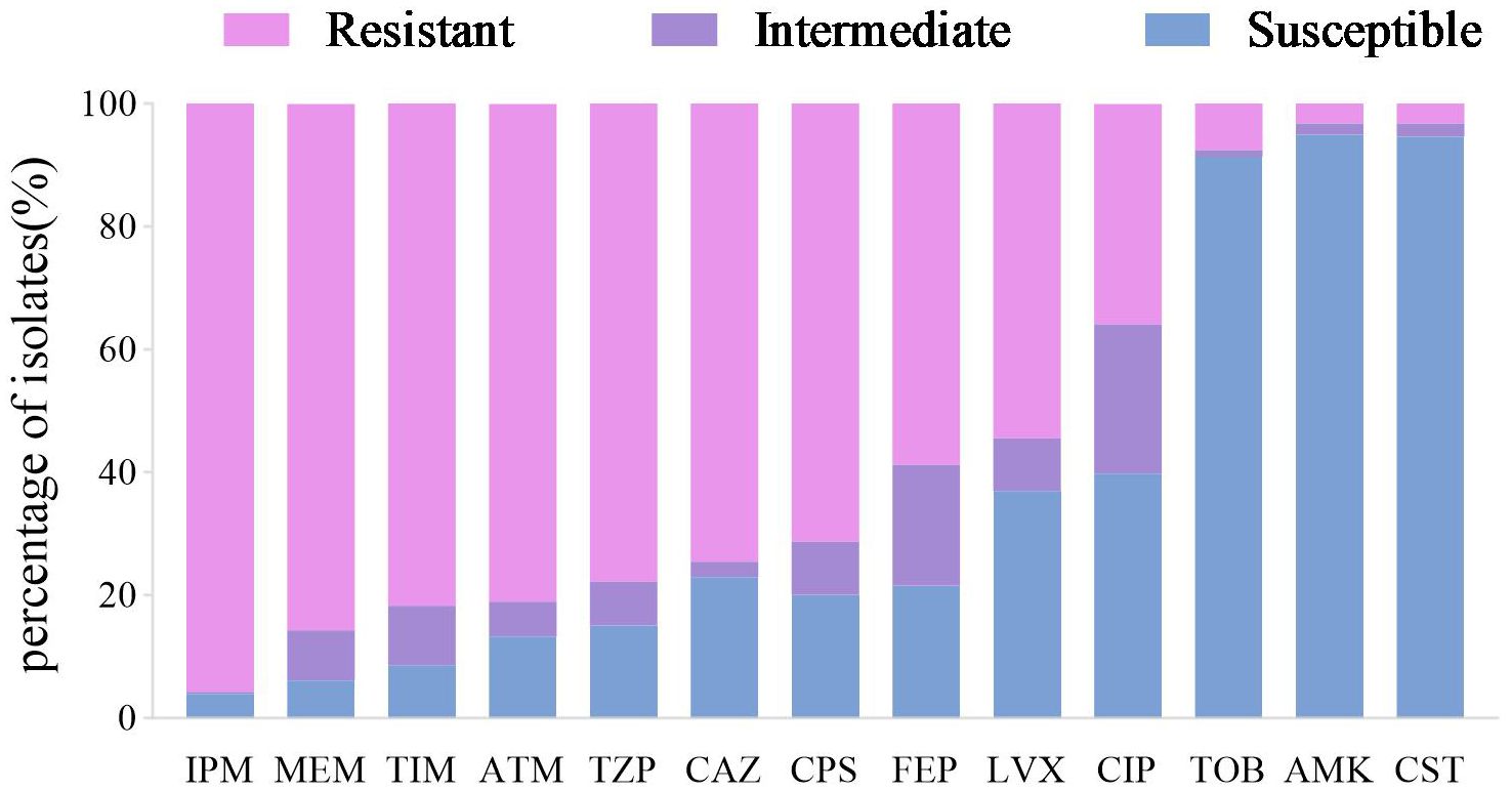 Bar chart showing the percentage of isolates categorized as resistant, intermediate, or susceptible to different antibiotics: IPM, MEM, TIM, ATM, TZP, CAZ, CPS, FEP, LVX, CIP, TOB, AMK, CST. Resistant is indicated in pink, intermediate in purple, and susceptible in blue.