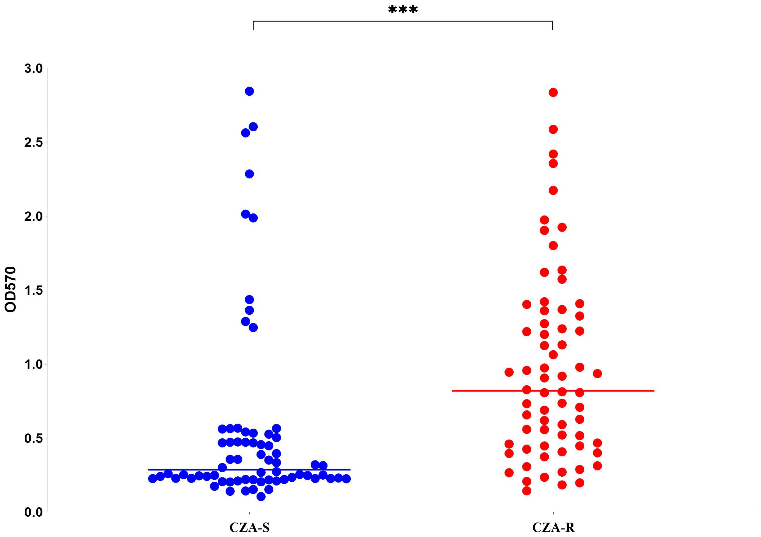 Scatter plot showing OD570 values for two groups: CZA-S (blue dots) and CZA-R (red dots). CZA-S values are mostly low, clustered below 0.5. CZA-R values are higher and more spread out, with a horizontal line indicating a significant difference, marked by asterisks at the top.