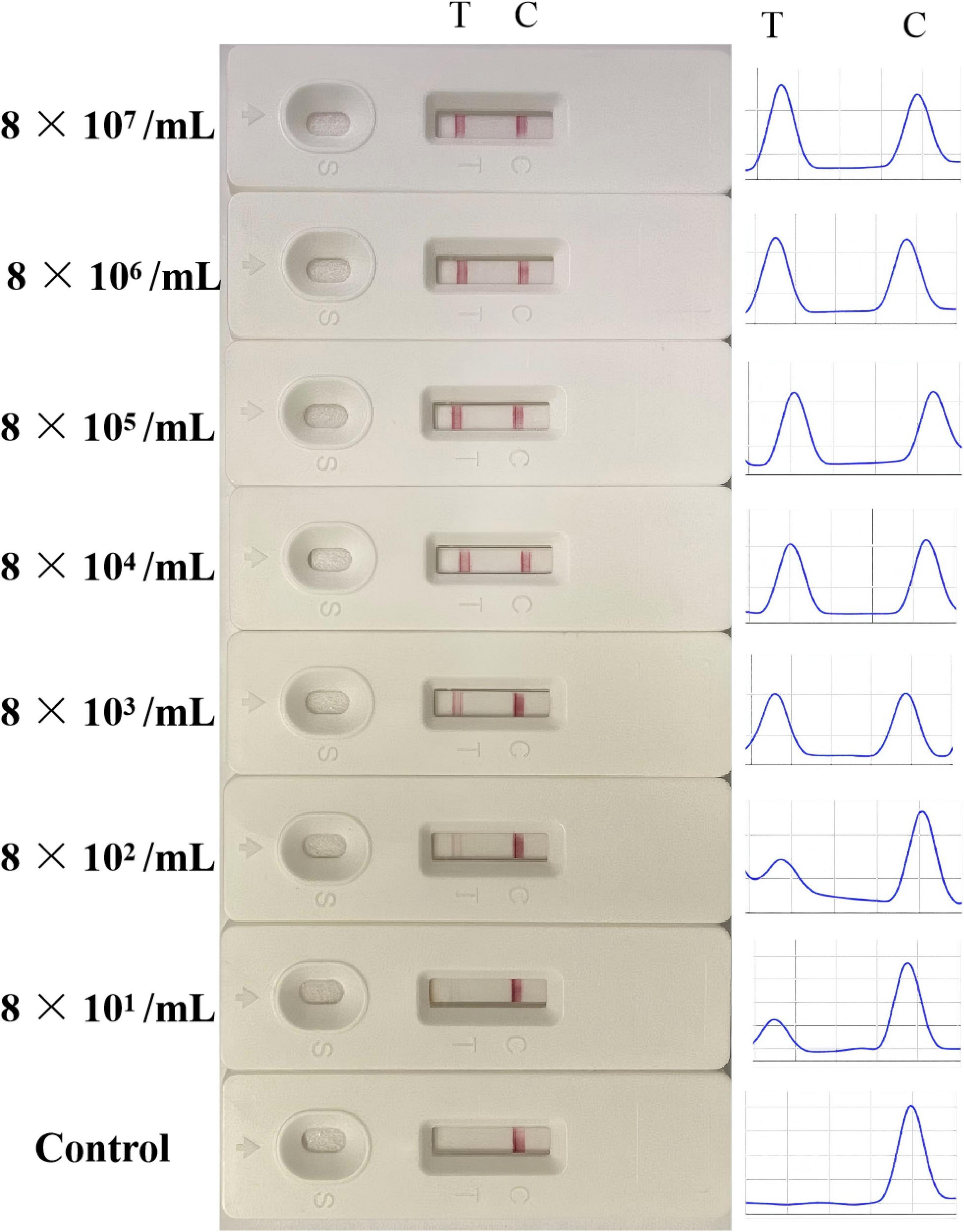 Seven lateral flow test strips are shown, each labeled with decreasing concentrations from eight times ten to the seventh per milliliter to eight times ten to the first per milliliter. A control strip is also present. Each strip has two lines marked T and C. To the right, corresponding graphs show peaks for T and C lines.