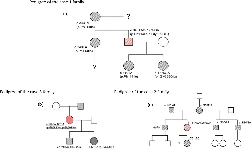 Genetic pedigree charts for three families labeled (a), (b), and (c). Each chart displays family members represented by circles and squares, with genetic annotations such as c.340TA, c.1775GA, c.761AC, and c.910GA. Shaded symbols indicate affected individuals or carriers, with genetic mutations noted next to them. A question mark denotes uncertain or unknown genetic status for some individuals.