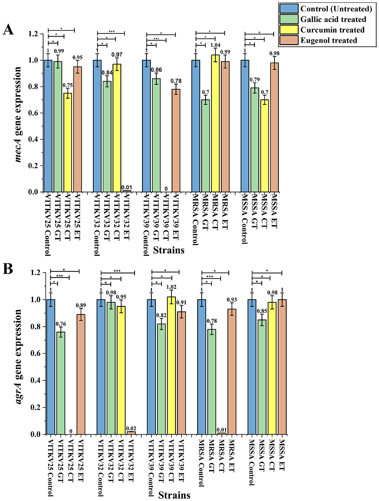 Bar graphs labeled A and B showing gene expression levels. Graph A illustrates *mecA* gene expression across various strains, with treatments including control, gallic acid, curcumin, and eugenol. Graph B displays *agrA* gene expression for the same strains and treatments. Each bar represents different treatments with specific statistical significance indicated by asterisks above the bars, analyzed across strains like VITKV25, VITKV32, VITKV39, MRSA, and MSSA. Colors distinguish treatment types.