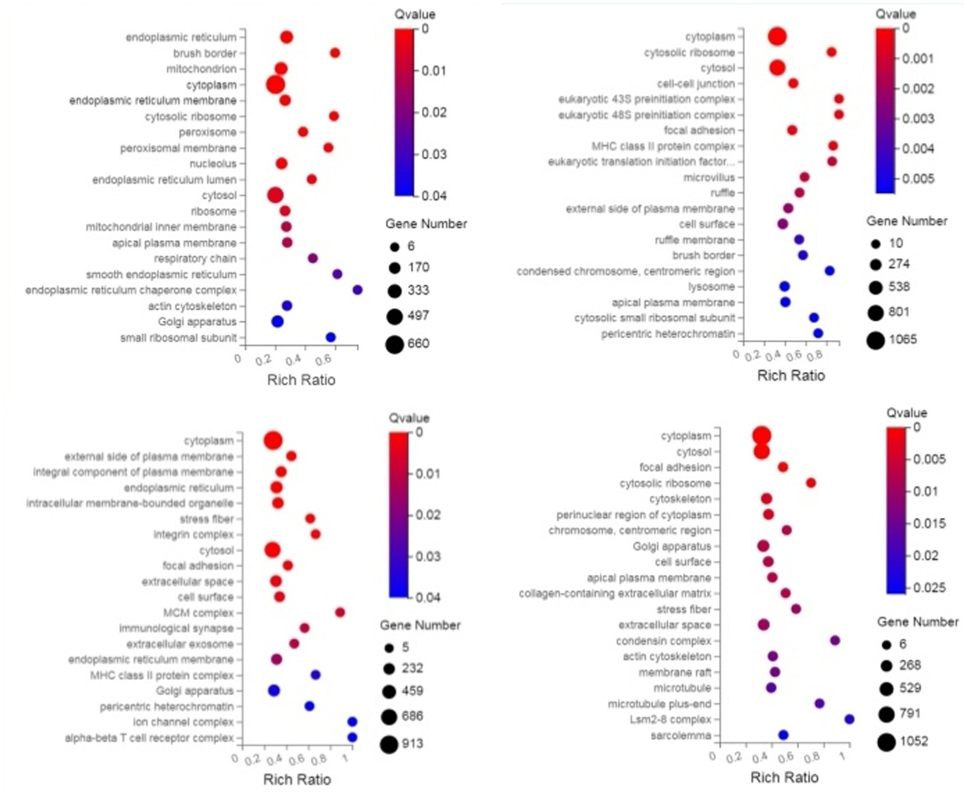 Four scatter plots display enriched gene sets with the x-axis labeled
