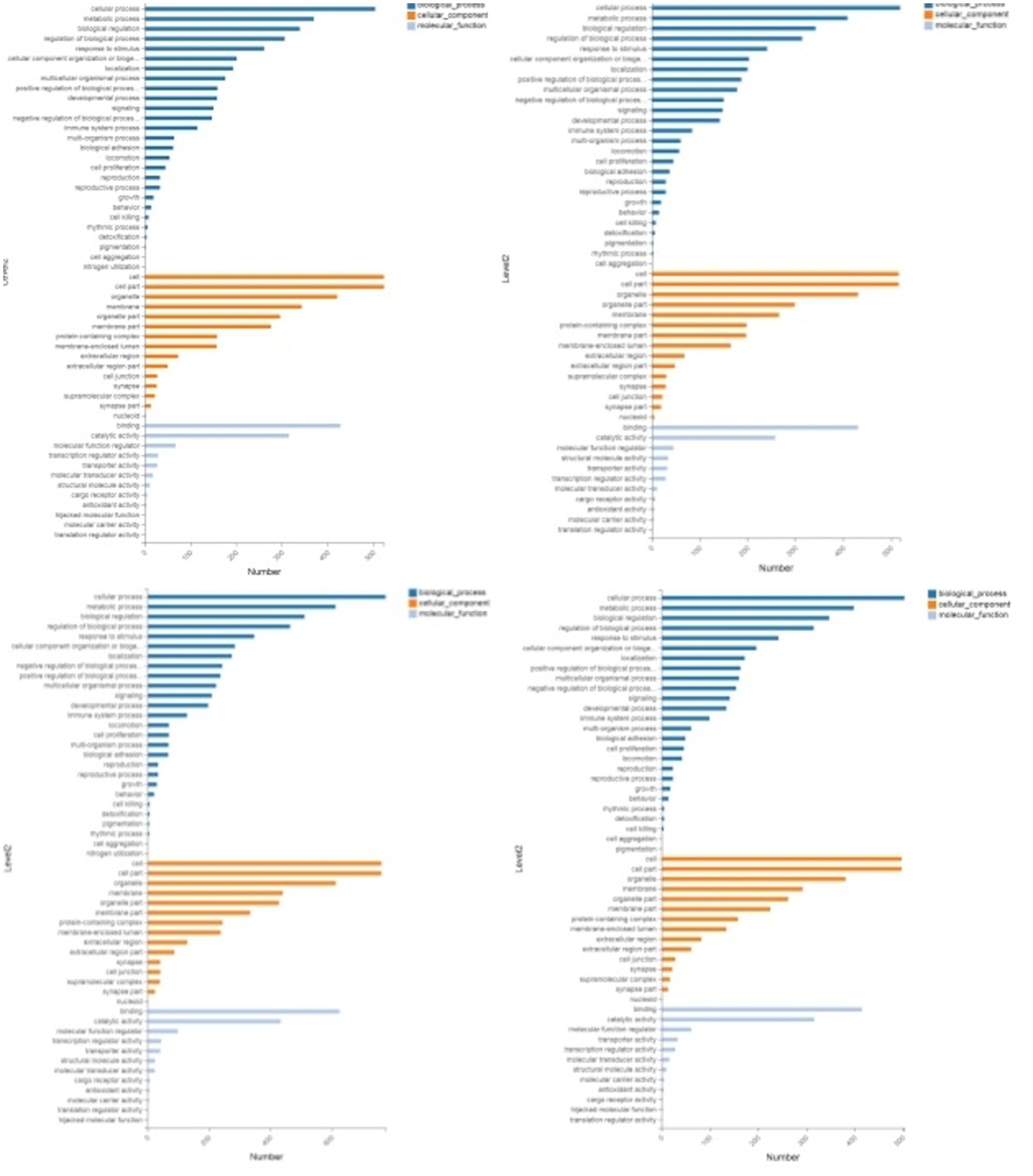 Four horizontal bar charts illustrate data for biological processes, cellular components, and molecular functions, each labeled by category and count. The charts display Level 02 and Level 03 data, with categories like