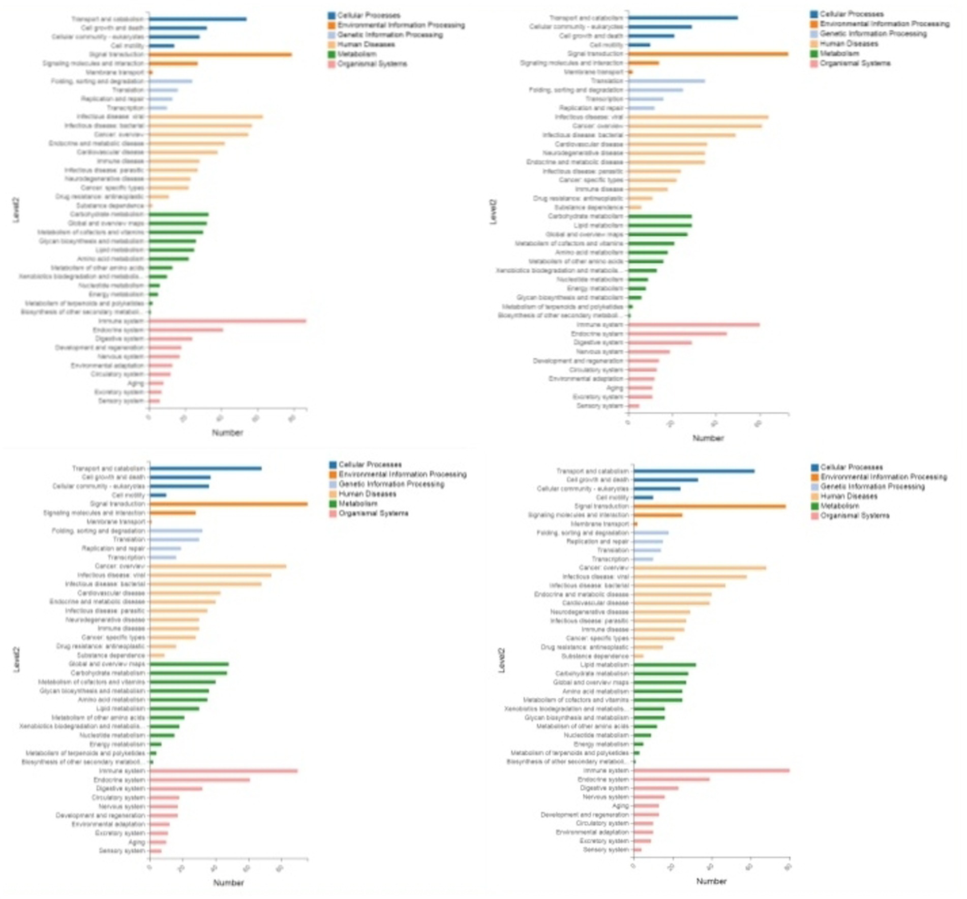 Four bar charts display categories labeled as Cellular Processes, Environmental Information Processing, Genetic Information Processing, Human Diseases, Metabolism, and Organismal Systems. Each chart shows different levels of data associated with these categories, represented by various colored bars. The x-axis indicates the number associated with each category.