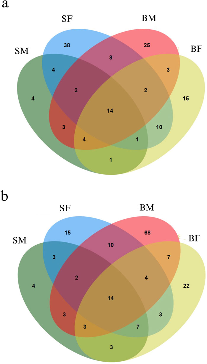Venn diagrams representing the distribution of methylated positions across the mitogenome in Nile tilapia growth groups. (a) Methylated positions across the plus strand of the mitogenome. Each ellipse represents a group with the number indicating unique and shared methylated positions among slow-growing male (SM), slow-growing female (SF), fast-growing male (BM) and fast-growing female (BF) groups. (b) Minus strand methylated positions across the mitogenome. Similar to the plus strand, each ellipse corresponds to one of the growth groups, illustrating the overlap and unique methylated positions within each group.