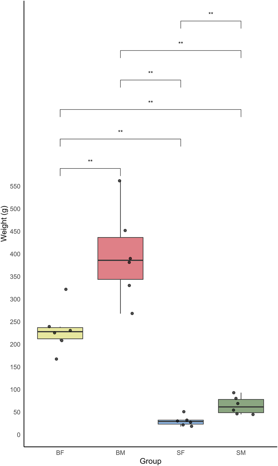 Boxplot showing the weight distribution of four groups of Nile tilapia: slow-growing male (SM), slow-growing female (SF), fast-growing male (BM) and fast-growing female (BF). The y-axis represents the weight in grams, while the x-axis indicates the different fish groups. Each boxplot displays the median weight and interquartile range, with whiskers extending to 1.5 times the interquartile range. Outliers are represented by individual points.