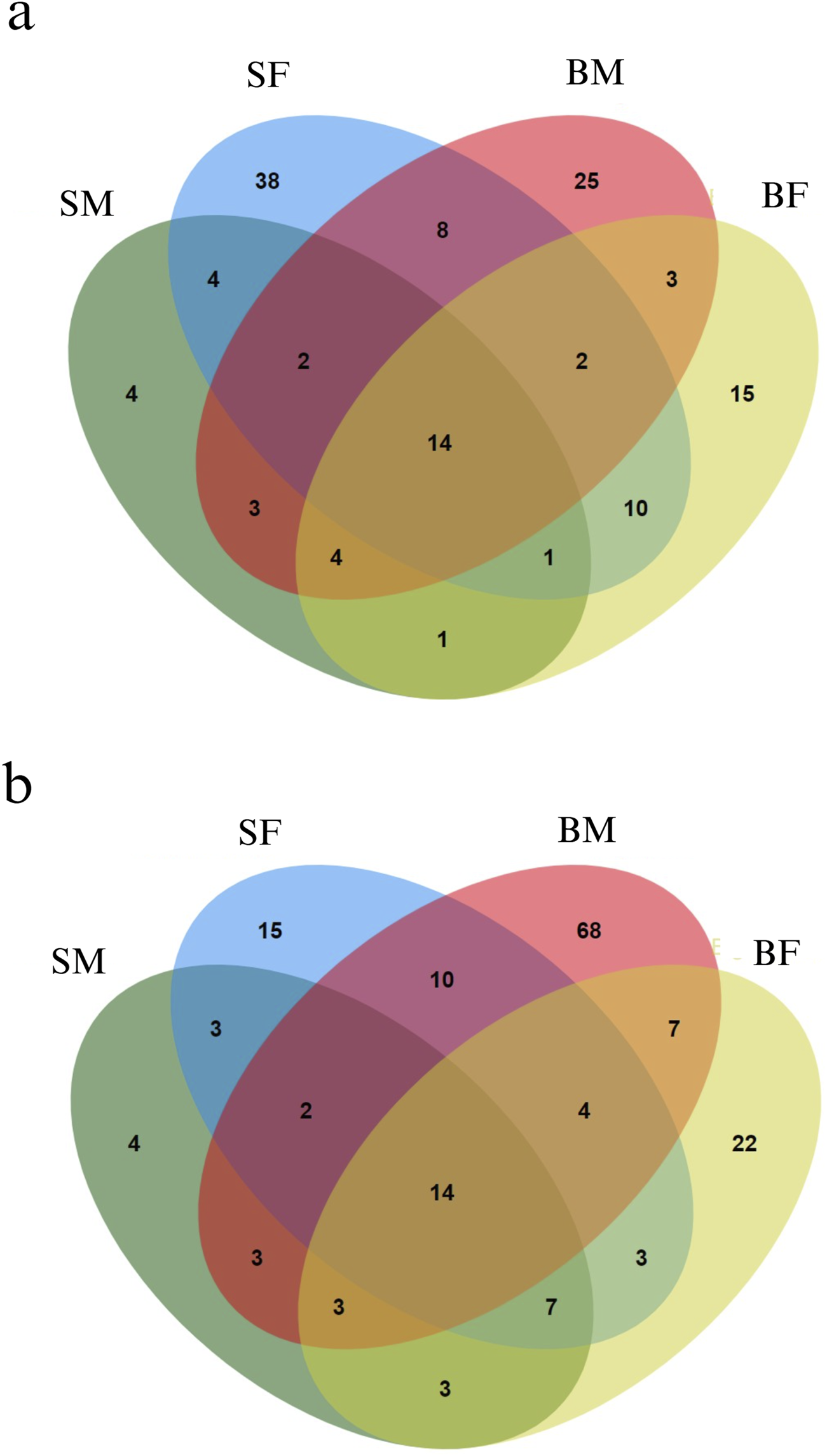 Venn diagrams representing the distribution of methylated positions across the mitogenome in Nile tilapia growth groups. (a) Methylated positions across the plus strand of the mitogenome. Each ellipse represents a group with the number indicating unique and shared methylated positions among slow-growing male (SM), slow-growing female (SF), fast-growing male (BM) and fast-growing female (BF) groups. (b) Minus strand methylated positions across the mitogenome. Similar to the plus strand, each ellipse corresponds to one of the growth groups, illustrating the overlap and unique methylated positions within each group.