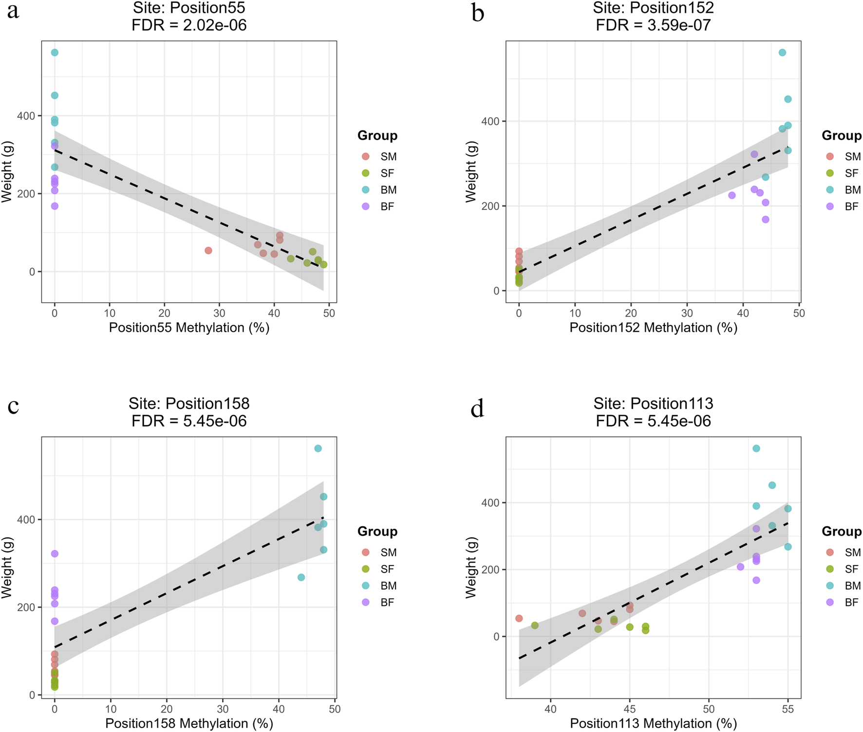 Regression plots showing the relationship between methylation percentage and body weight at mitochondrial positions on the reverse strand with the highest R2 values (>0.7). (a) Position55 (COX1) shows a strong negative correlation with weight in slow-growing fish (SM, SF). (b) Position152 (ND6) shows a strong positive correlation with weight in fast-growing fish (BM, BF). (c) Position158 (CYTB) exhibits a strong positive association specifically in fast-growing males (BM). (d) Position113 (ND4L), a site common to all groups, shows a significant positive correlation with weight.
