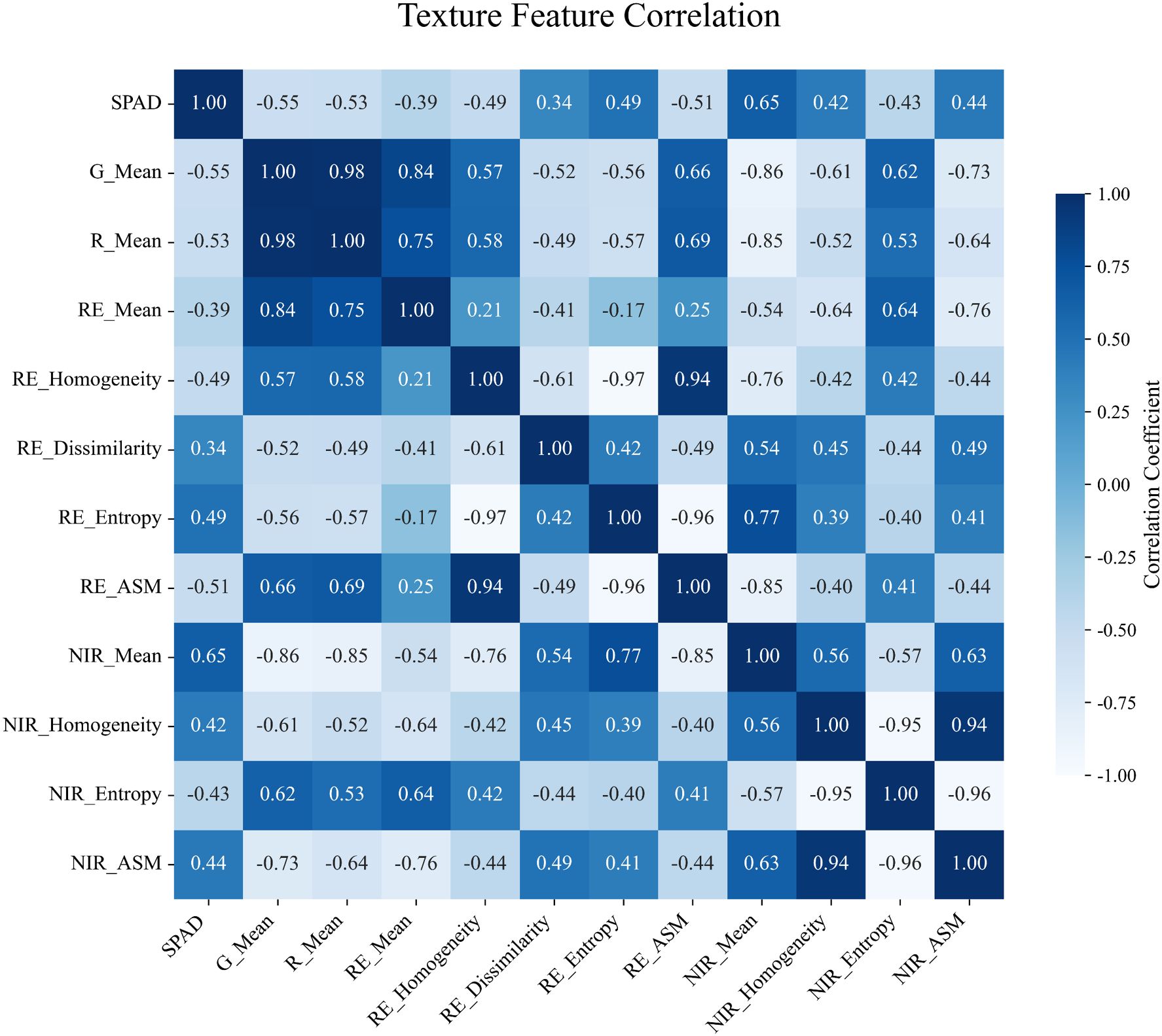 Correlation matrix titled “Texture Feature Correlation” showing relationships among variables: SPAD, G_Mean, R_Mean, RE_Mean, RE_Homogeneity, RE_Dissimilarity, RE_Entropy, RE_ASM, NIR_Mean, NIR_Homogeneity, NIR_Entropy, NIR_ASM. Values range from -1.00 to 1.00, with color intensity representing correlation strength. The matrix includes a color scale indicating correlation coefficients.