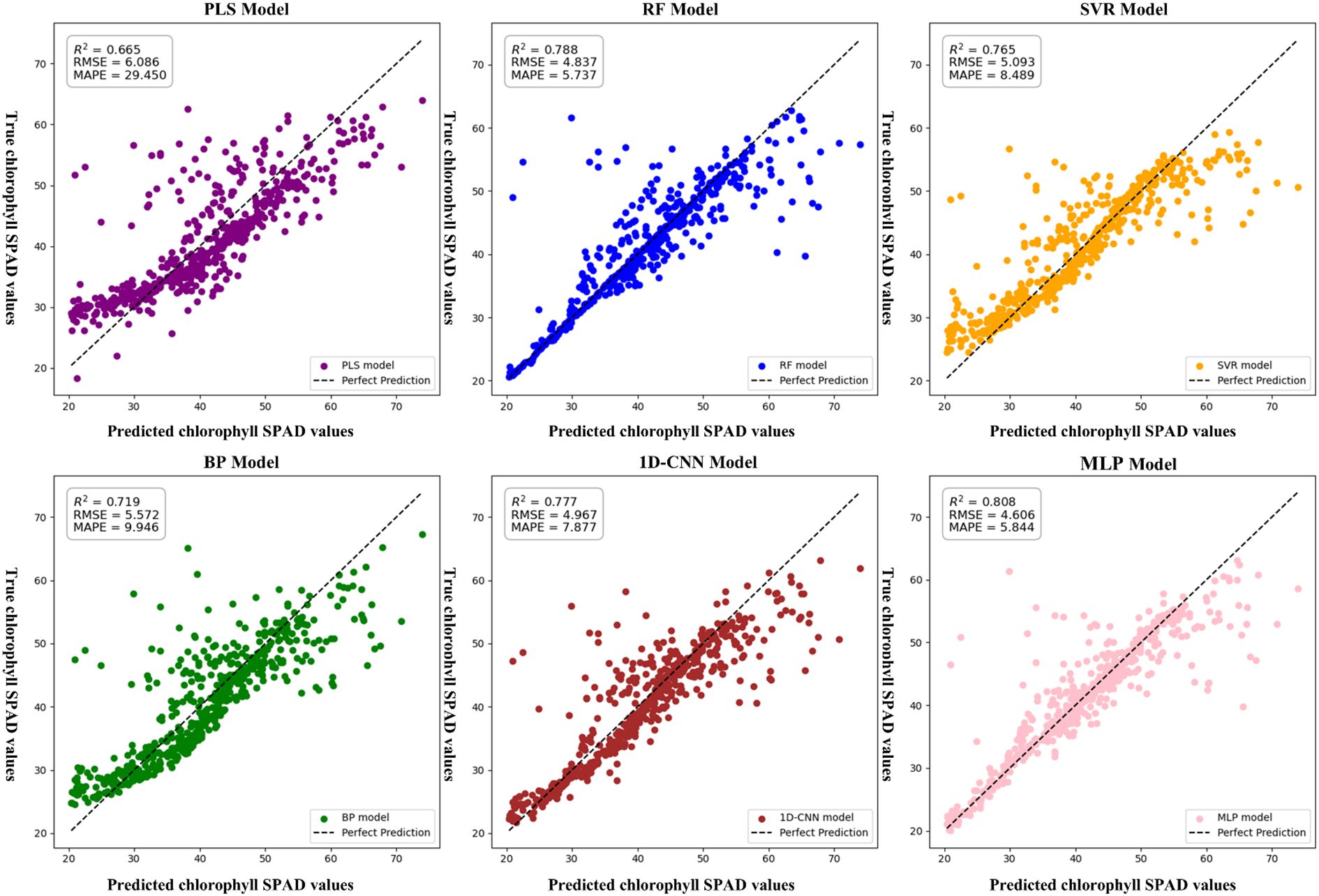 Scatter plots comparing predicted and true chlorophyll SPAD values for six models: PLS, RF, SVR, BP, 1D-CNN, and MLP. Each plot shows data points, a dashed line for perfect prediction, and model performance metrics \( R^2 \), RMSE, and MAPE. Colors vary by model: purple, blue, orange, green, red, and pink.