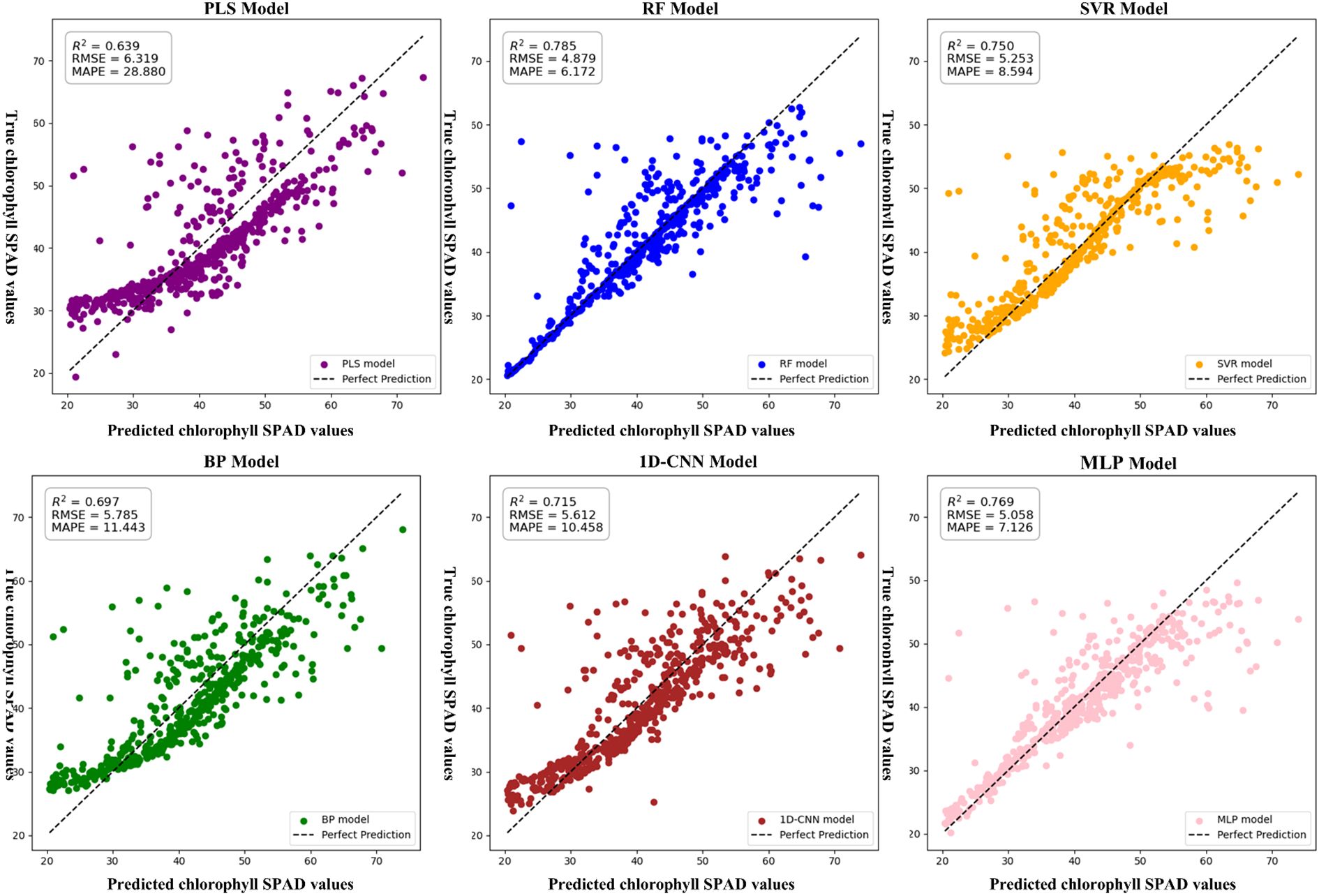 Six scatter plots compare predicted chlorophyll SPAD values to true values using different models: PLS, RF, SVR, BP, 1D-CNN, and MLP. Each plot includes a regression line indicating perfect prediction. R-squared, RMSE, and MAPE values are displayed for each model, showing varying predictive accuracy. Plots have different colors for each model's data points.