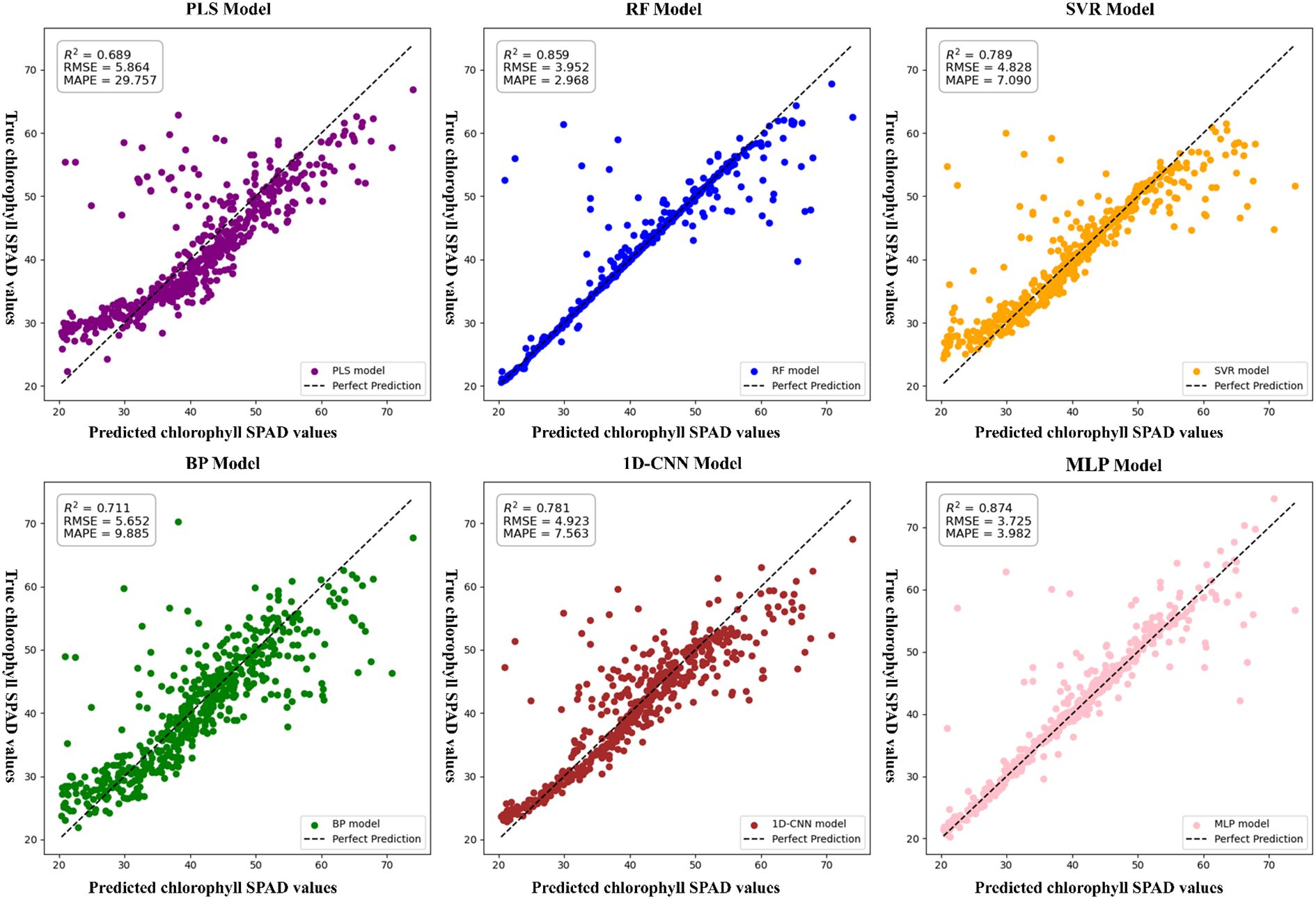 Scatter plots compare six models—PLS, RF, SVR, BP, 1D-CNN, and MLP—in predicting chlorophyll SPAD values. Each plot includes actual versus predicted values and a line of perfect prediction. Metrics such as \( R^2 \), RMSE, and MAPE are given for each model. Different colors differentiate the models: purple for PLS, blue for RF, orange for SVR, green for BP, red for 1D-CNN, and pink for MLP.