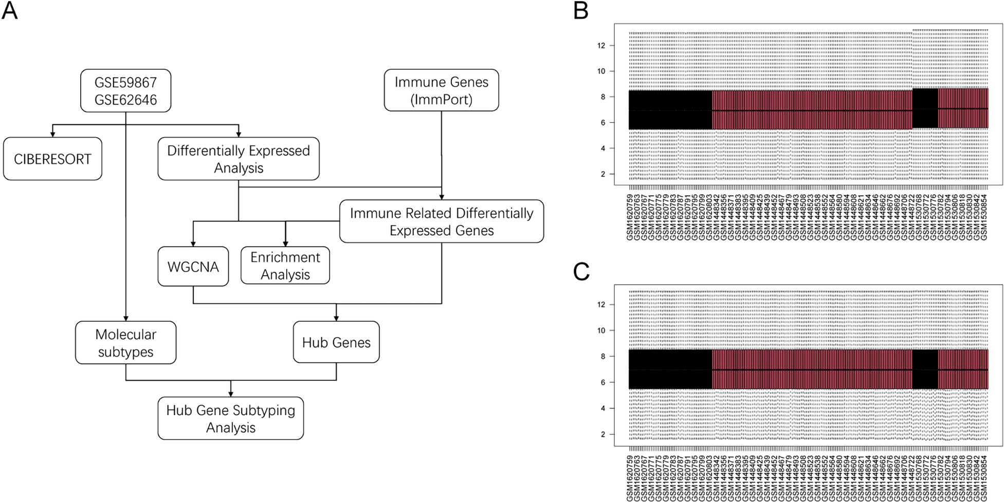 Flowchart labeled A shows data analysis steps using GSE59867 and GSE62646, leading to hub gene subtyping analysis. Parts B and C display heatmaps with data labeled GSM1620759 to GSM150584, showing patterns in red and black color coding.