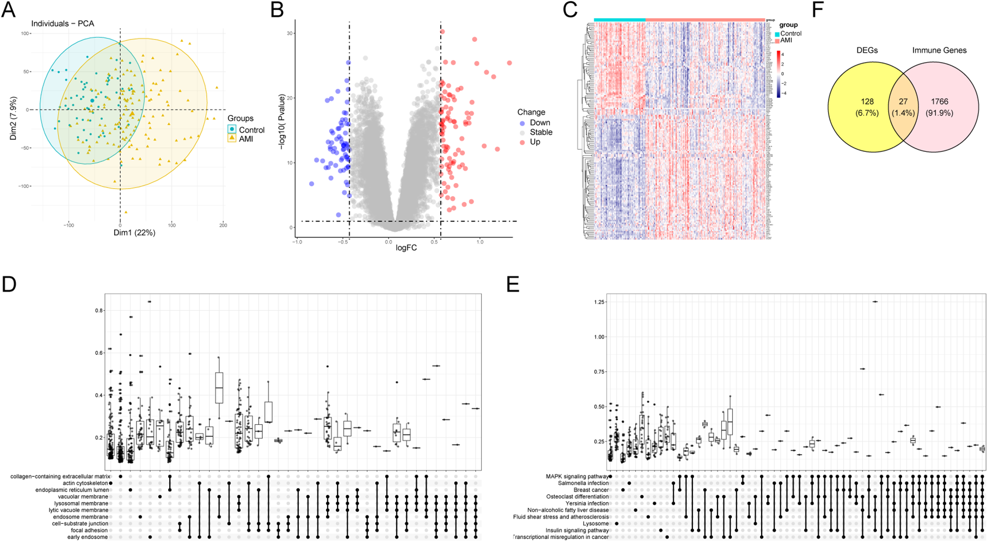 A composite image featuring six visualizations related to gene expression analysis. Panel A shows a PCA plot differentiating control and AMI groups. Panel B is a volcano plot indicating significantly upregulated and downregulated genes. Panel C is a heatmap displaying gene expression patterns in control and AMI samples. Panel D and E are box plots with pathway enrichment analyses. Panel F is a Venn diagram illustrating the overlap between differentially expressed genes and immune-related genes.