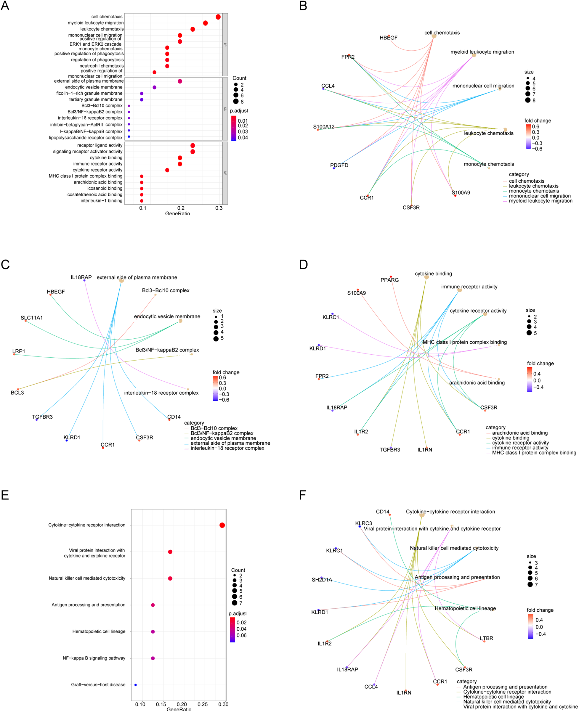 Panel of six images depicting various data visualizations. \n \nA: Scatter plot showing gene sets with gene ratio on the x-axis. Dot color indicates adjusted p-value, and size represents count. \n \nB: Network diagram illustrating connections between genes and biological processes, with lines colored by function category and nodes sized by fold change. \n \nC: Similar network diagram focusing on interactions related to Bcl-2 complex and plasma membrane, highlighting fold change. \n \nD: Network diagram showing relationships between immune receptors and cytokine activities with size and color-coded representations. \n \nE: Scatter plot of pathways, with dot size indicating count and color showing adjusted p-value. \n \nF: Network diagram highlighting cytokine interactions and immune processes with fold change indicated by node size and color.