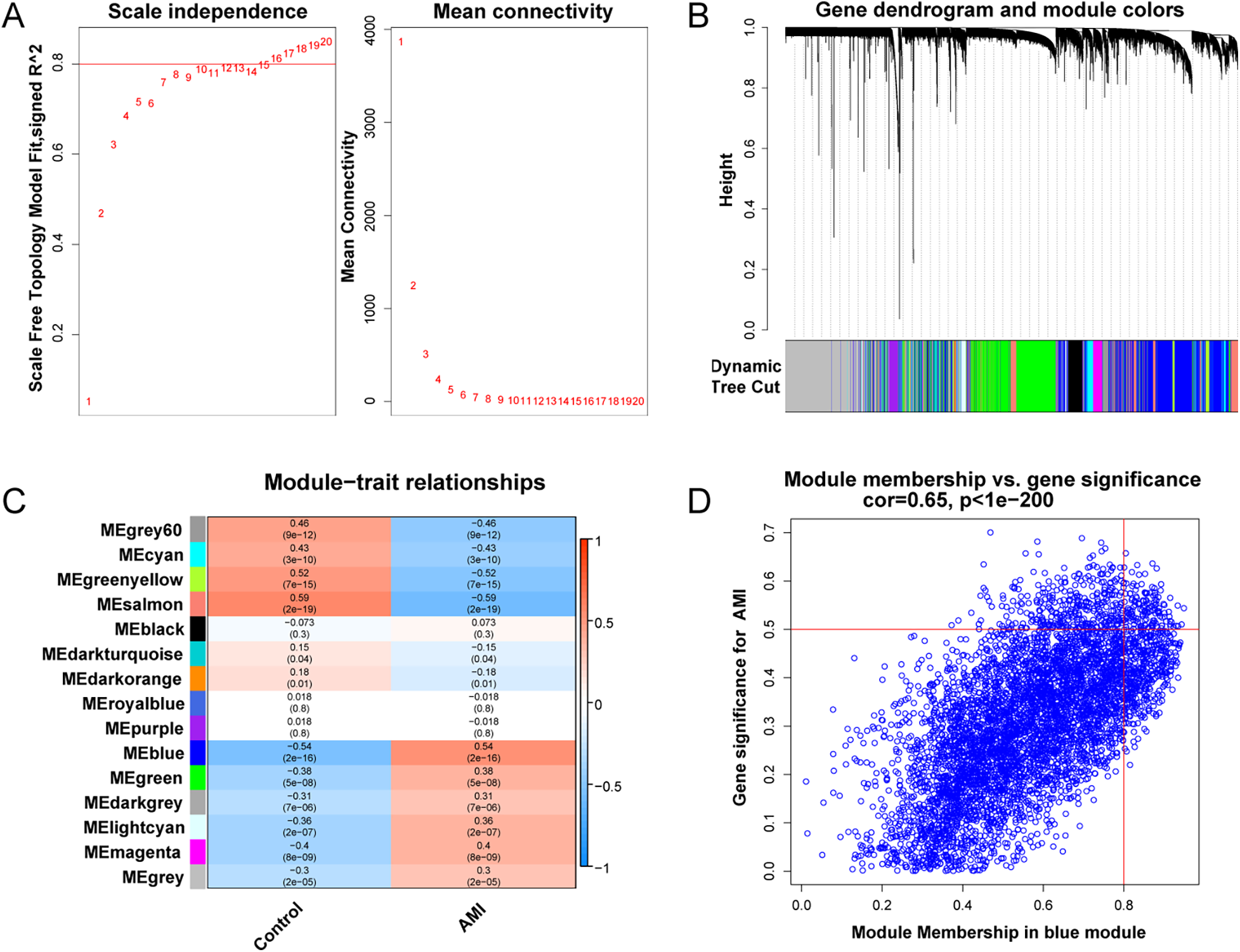 Panel A displays graphs for scale independence and mean connectivity, plotting scale-free topology versus scale on the left and mean connectivity versus scale on the right. Panel B shows a gene dendrogram with color-coded modules. Panel C is a heatmap of module-trait relationships, with colors indicating correlation strengths between modules and traits (Control and AMI). Panel D is a scatter plot showing a positive correlation between module membership and gene significance for AMI in the blue module, with a correlation coefficient of 0.65 and a p-value less than 1e-200.