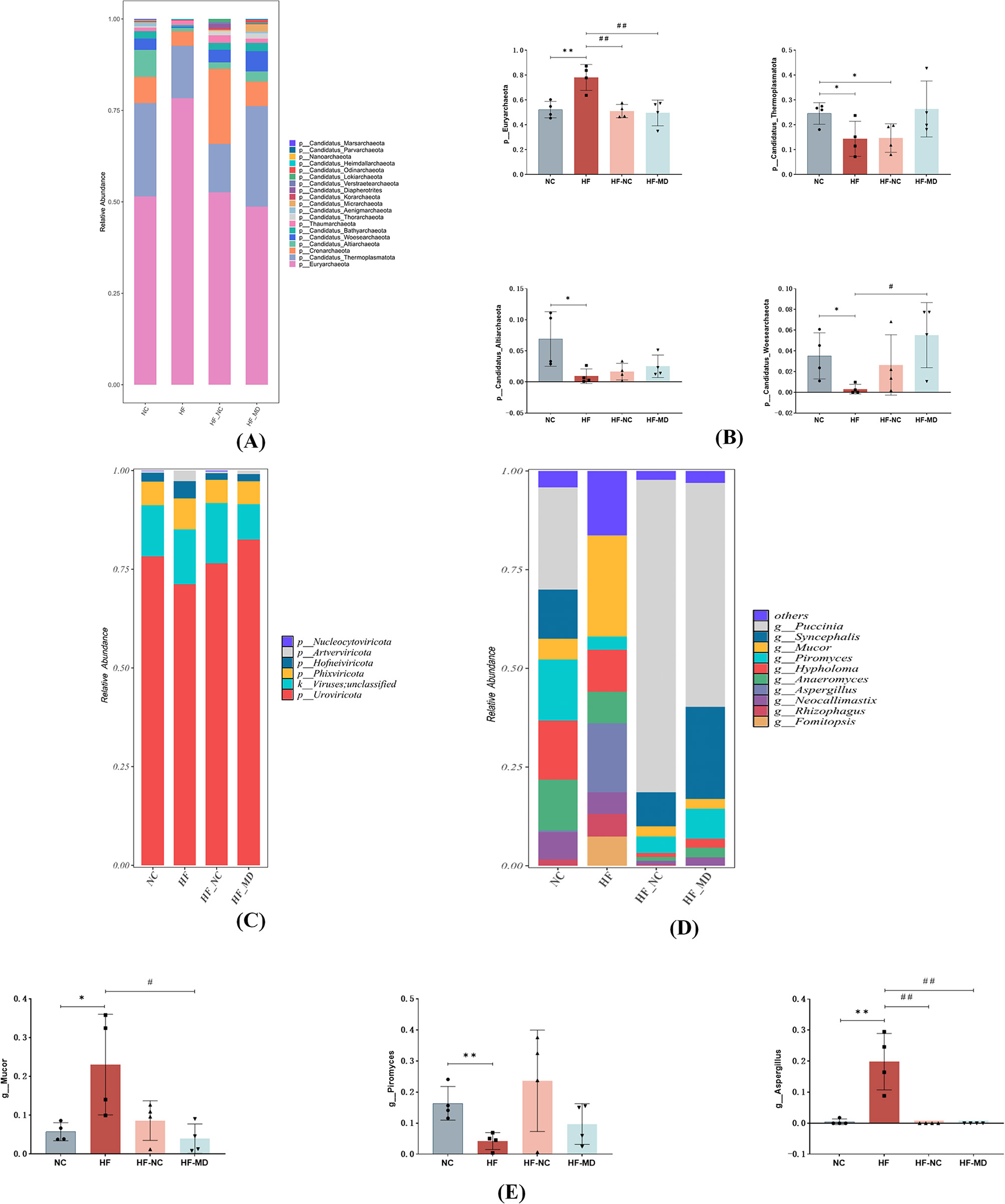 Five charts present microbial and gene data. (A) and (C) are stacked bar charts showing relative abundances of microbial communities labeled by taxonomic groups. (B) and (E) are bar charts with error bars illustrating various gene expression levels across different sample groups, highlighted by significance markers. (D) is another stacked bar chart detailing different taxonomic abundances, with a legend indicating specific genera. All charts compare groups labeled as NC, HF, HF-NC, and HF-MD.