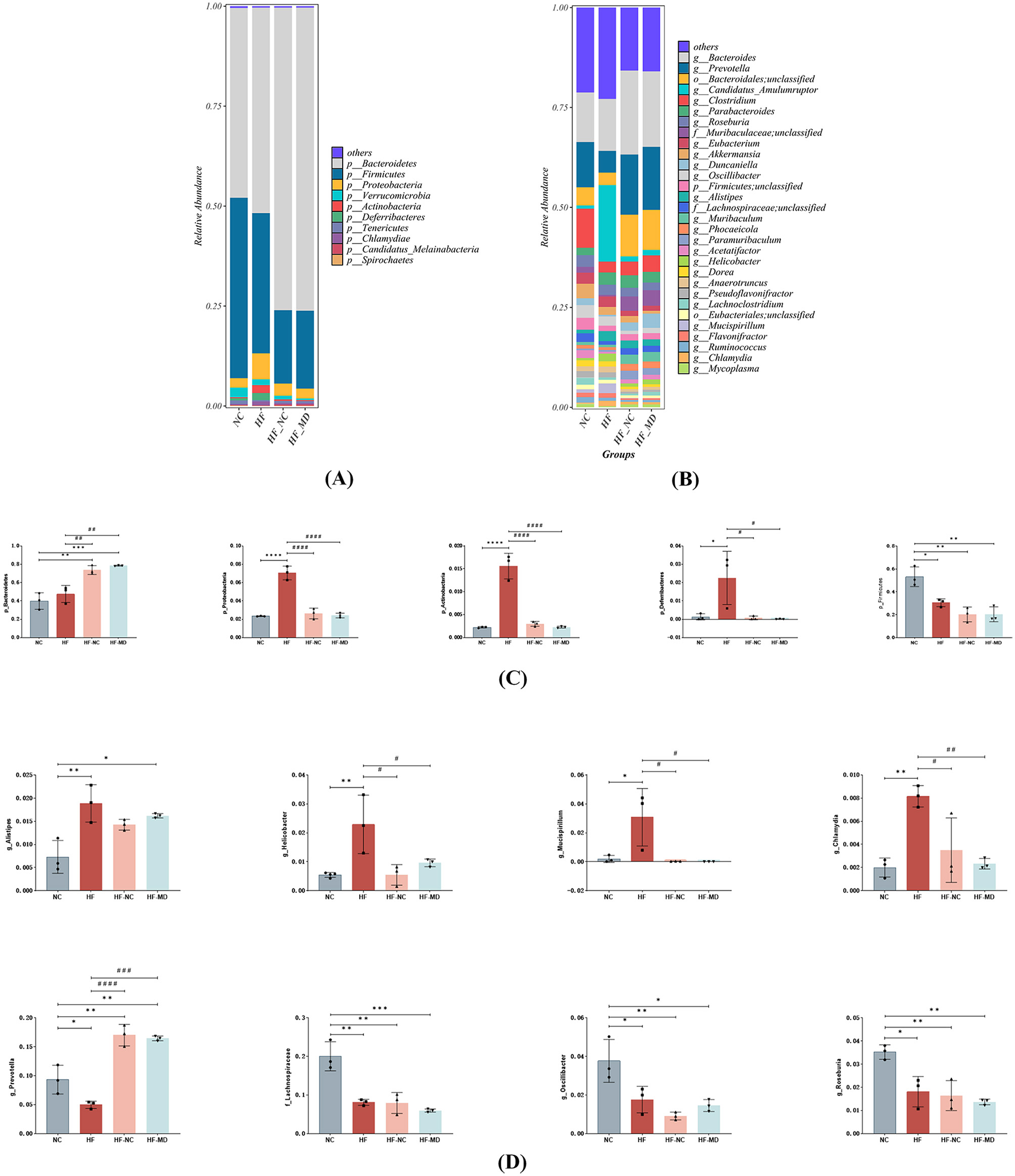 Bar charts showing relative abundance of various bacterial taxa in different groups. Panels A and B display stacked bar charts comparing taxa at broader and more specific levels, respectively. Panels C and D feature individual bar charts with error bars, depicting statistical analyses among groups NC, HF, HF+AC, and HF+AD, with significance levels indicated by asterisks.