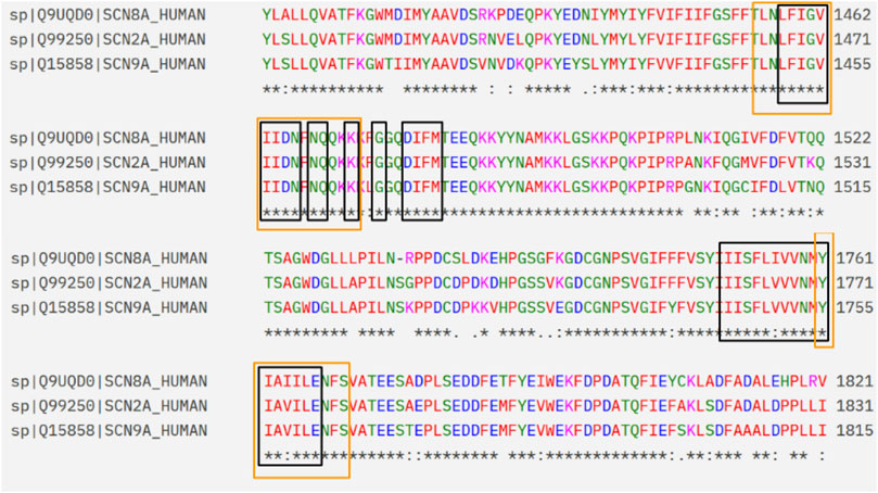 Protein sequence alignment of human sodium channel variants SCN8A, SCN2A, and SCN9A. Amino acids are color-coded, with boxes highlighting conserved regions. Identical sequences are marked with asterisks. Sequences are from residues 1462 to 1836.