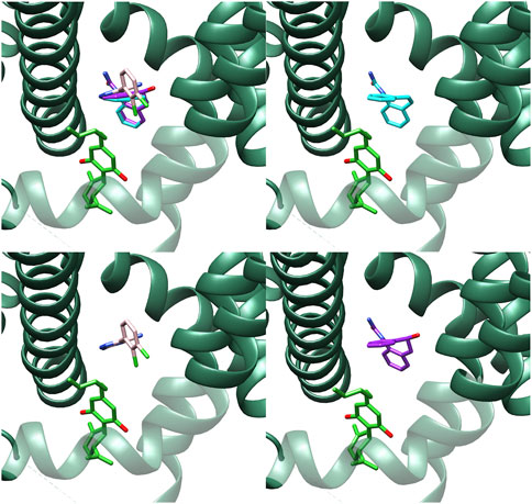 A grid of four molecular structures featuring green helical arrangements interacting with various small molecules in different colors: purple, cyan, pink, and another purple. Each molecule is embedded within the helical structures, representing different configurations or interactions.