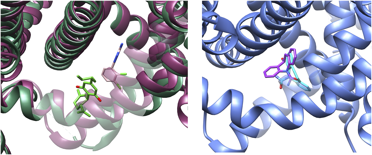 Side-by-side illustrations of molecular structures featuring twisted helix formations. The left image has green and pink helices with green and pink molecular models. The right image shows blue helices with purple and cyan molecular models. Both highlight complex molecular interactions.