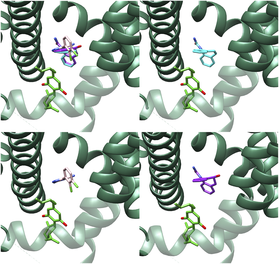 A grid of four molecular structures featuring green helical arrangements interacting with various small molecules in different colors: purple, cyan, pink, and another purple. Each molecule is embedded within the helical structures, representing different configurations or interactions.