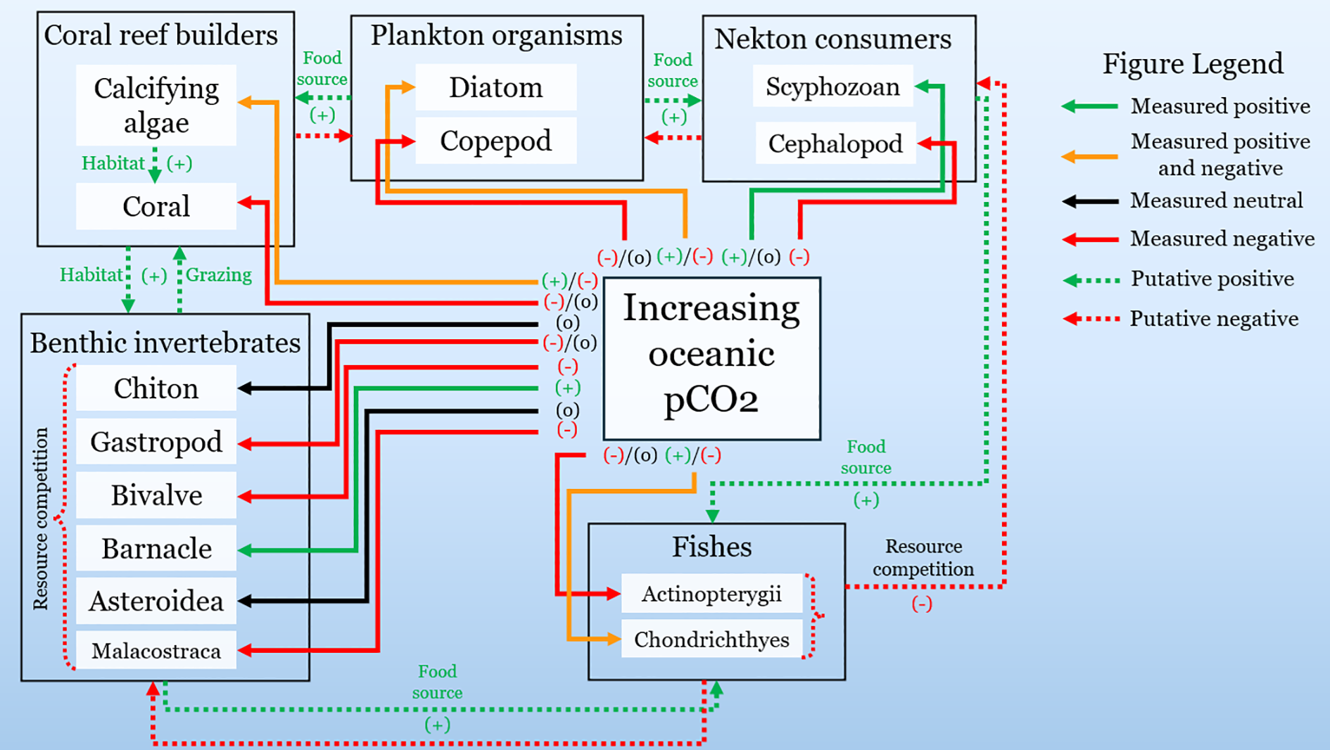 Flowchart illustrating the impact of increasing oceanic pCO2 on marine species interactions. It shows coral reef builders, plankton organisms, nekton consumers, benthic invertebrates, and fishes, with interactions such as food sources, habitat, and resource competition. Lines indicate positive, negative, and neutral effects, as well as putative effects, as explained in the figure legend.