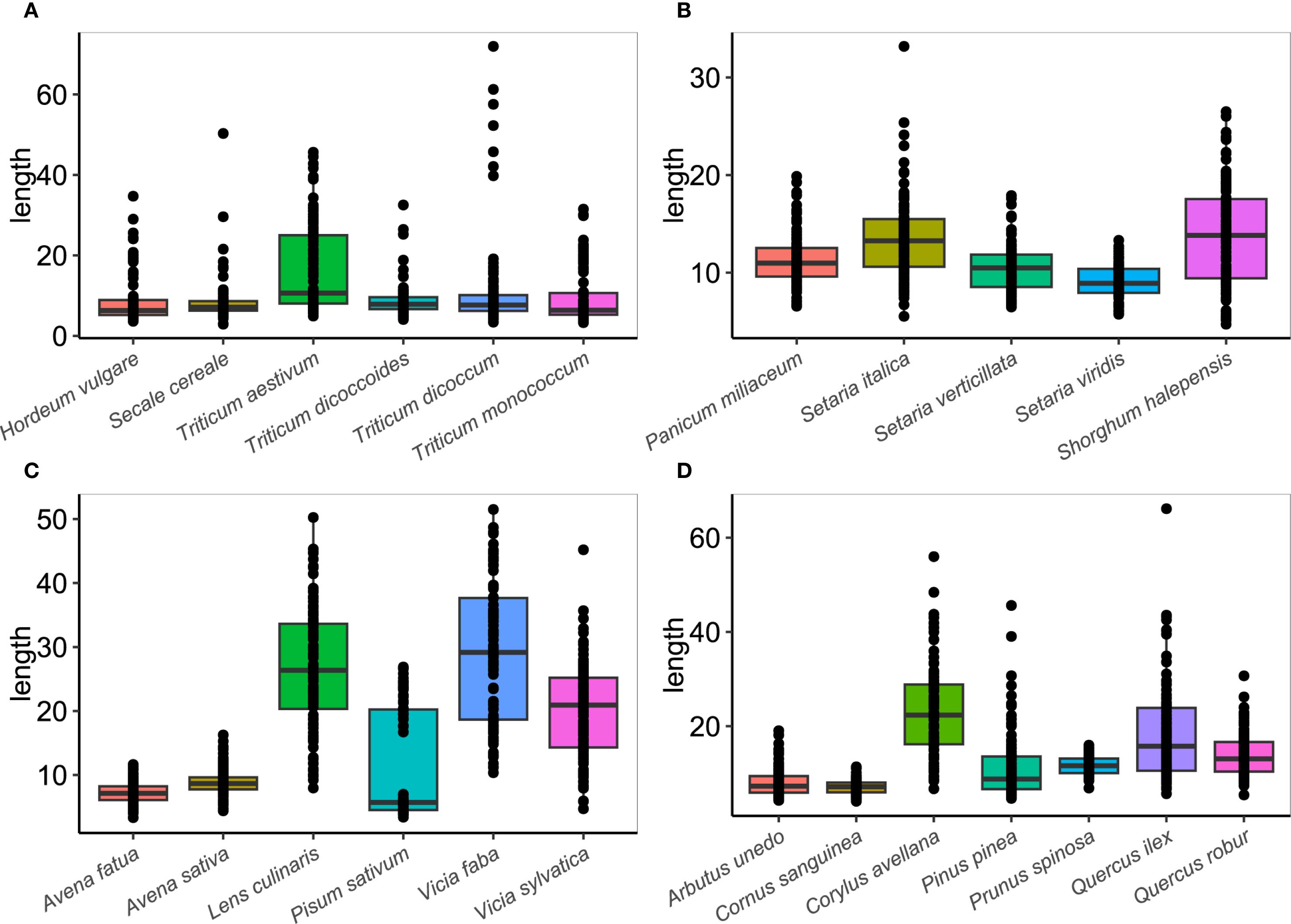 Four-box plot charts compare lengths of different plant species across panels A, B, C, and D. Panel A includes species like Hordeum vulgare and Triticum monococcum. Panel B includes species like Panicum miliaceum and Shorghum halepensis. Panel C includes species like Avena fatua and Vicia sylvatica. Panel D includes species like Arbutus unedo and Quercus robur. Each plot shows variations in length with outliers indicated by black dots.