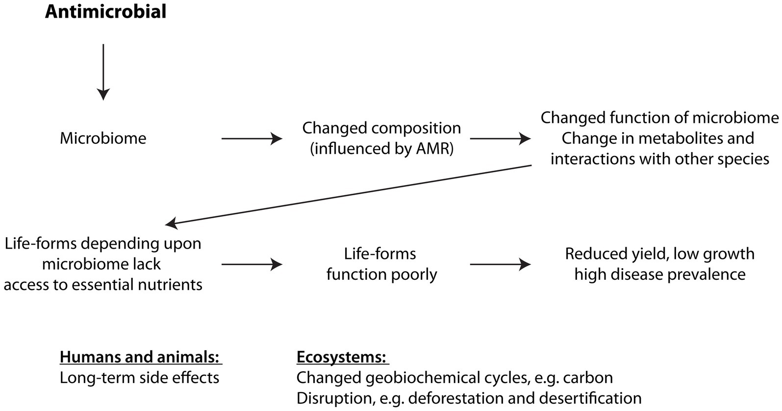 Flowchart illustrating how the effects of antimicrobials impact microbiomes, that are essential for the function of ecosystems, as well as microbiomes, that support the health of humans, animals and plants. Antimicrobials change the composition of the microbiota, with changes to diversity and relative abundance leading to change in microbiome function, such as metabolite production and species interactions. This causes essential nutrient imbalance and poor function leading to high disease prevalence and low yield. Overall, such microbiome changes impact ecosystem functions universally, resulting in, for example, disrupted biogeochemical cycles, deforestation and desertification.