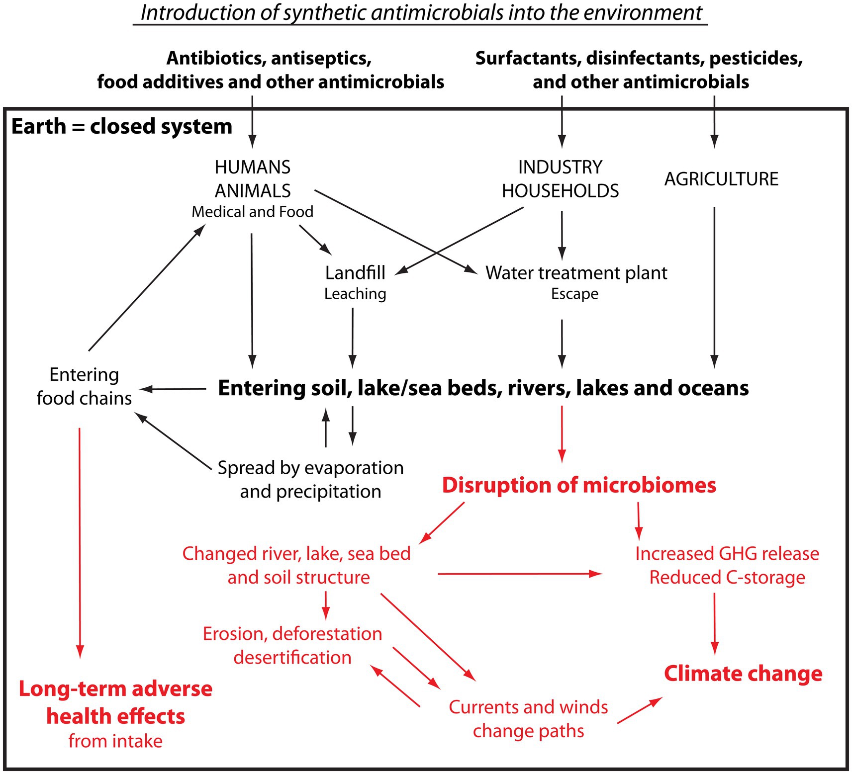 Flowchart depicting the cyclic path of synthetic antimicrobials introduced into the environment. Humans, animals, industry, households, and agriculture release antimicrobials into landfill and wastewater. The antimicrobials escape and enter soils and water bodies and spread with the winds via evaporation. This causes global microbiome disruption, resulting in the release of GHGs as well as the reduced carbon storage capacity of soil and water, which both contribute to climate change. Antimicrobials also enter food chains, causing long-term health effects in humans, animals and plants. Finally, following food digestion, antimicrobials are excreted and, owing to their high stability, re-enter the cyclic path.